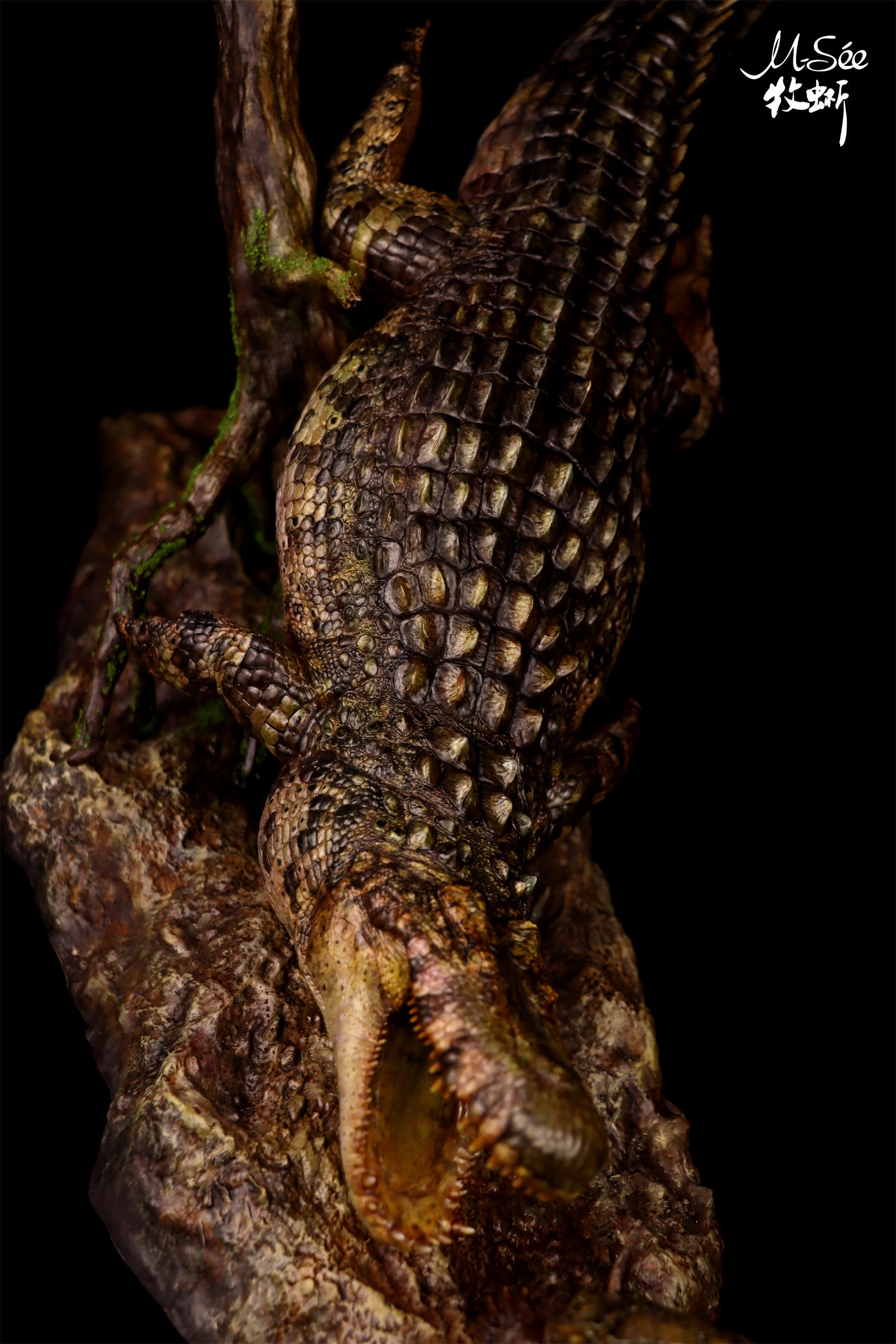 MuSee Studio Purussaurus Hunting Stupendemys Scene