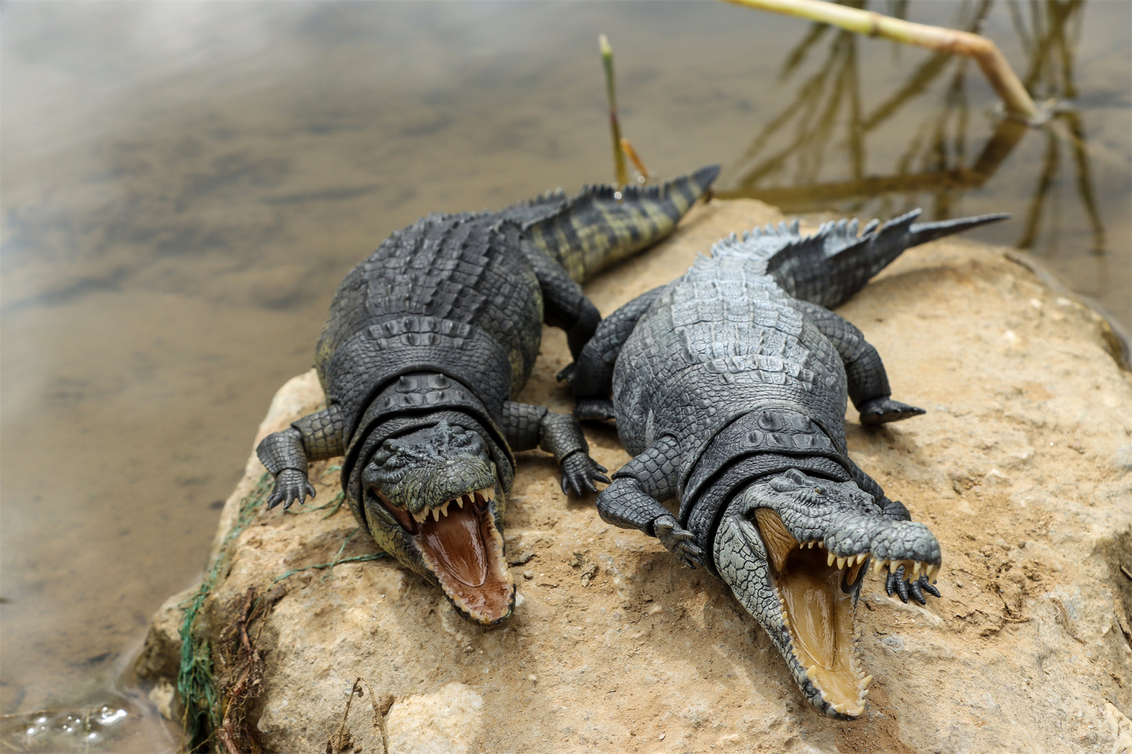 Nanmu Studio Saltwater Crocodile Action Figure