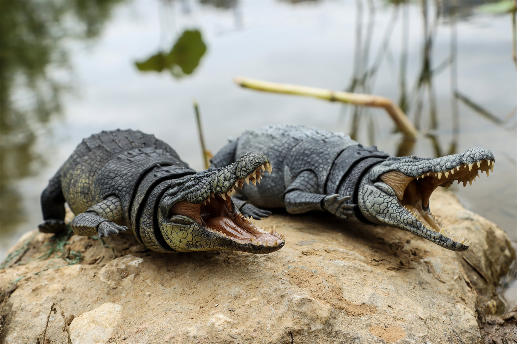 Nanmu Studio Saltwater Crocodile Action Figure