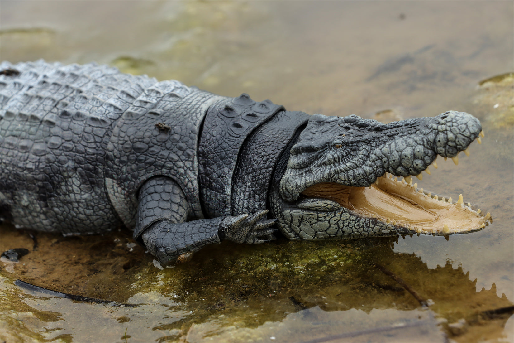 Nanmu Studio Saltwater Crocodile Action Figure