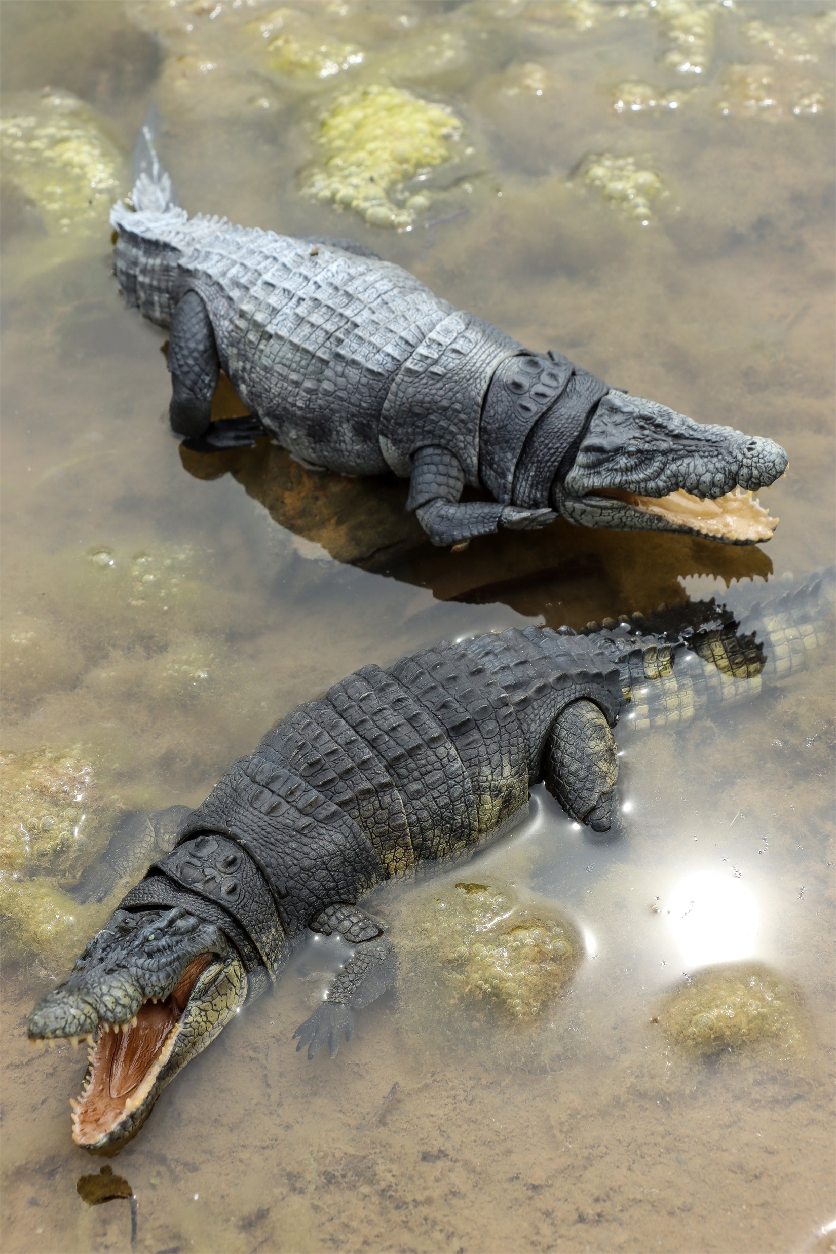Nanmu Studio Saltwater Crocodile Action Figure
