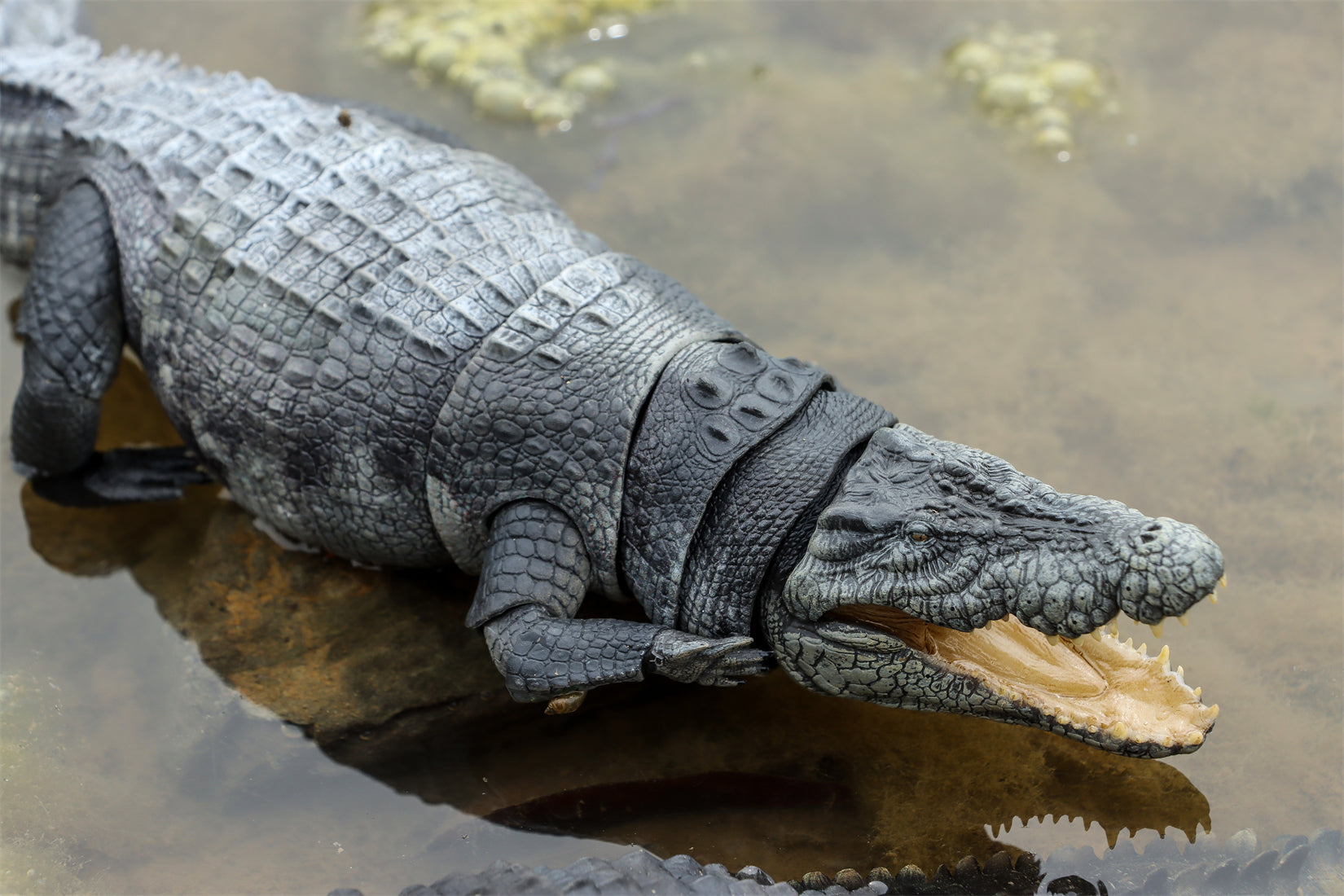 Nanmu Studio Saltwater Crocodile Action Figure