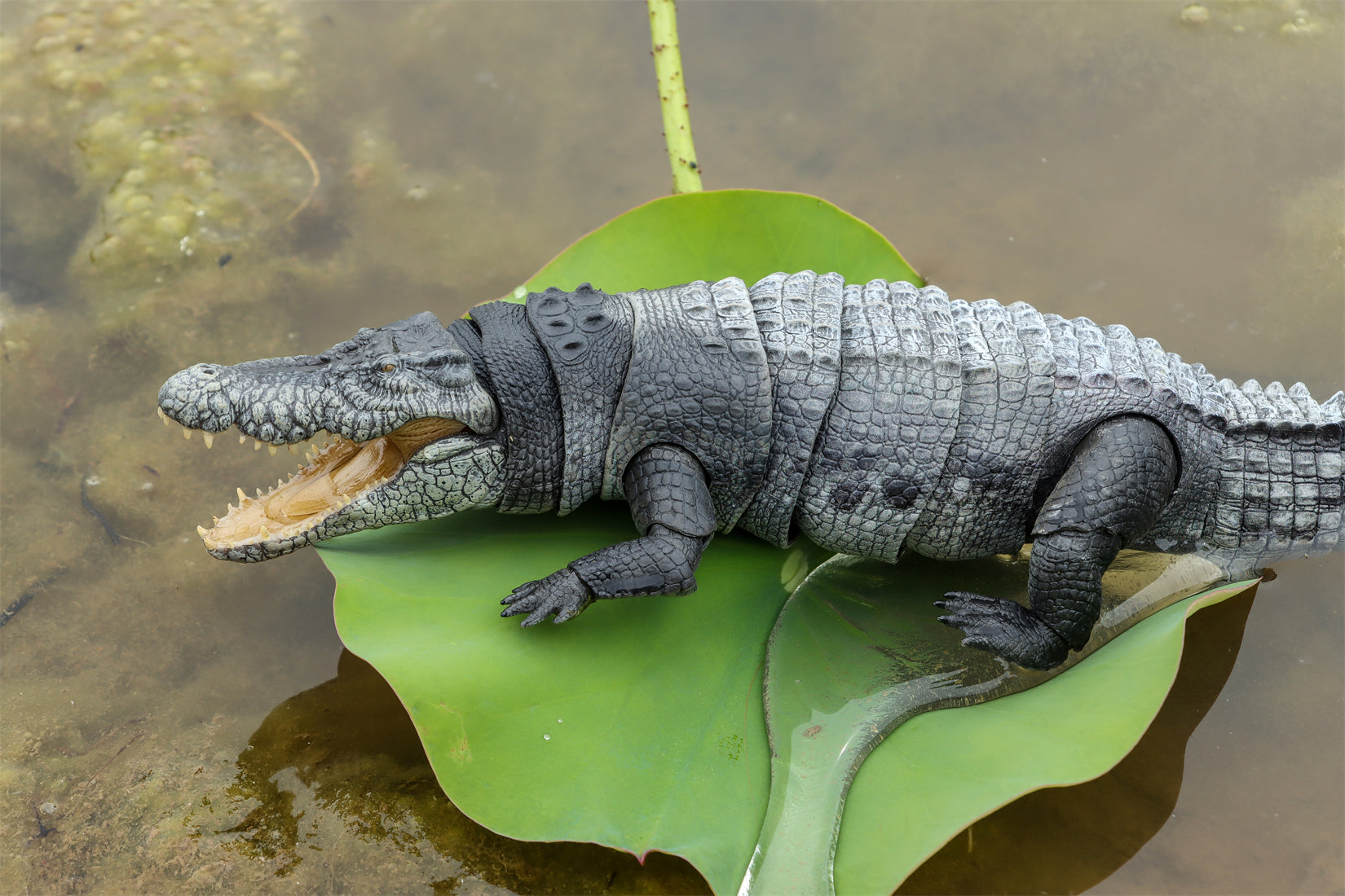 Nanmu Studio Saltwater Crocodile Action Figure