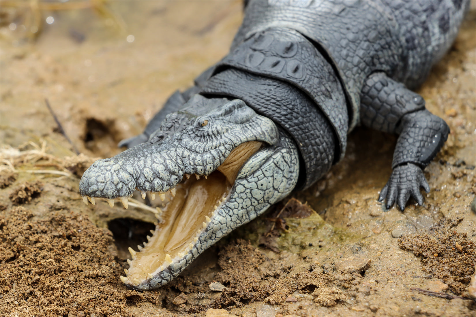 Nanmu Studio Saltwater Crocodile Action Figure