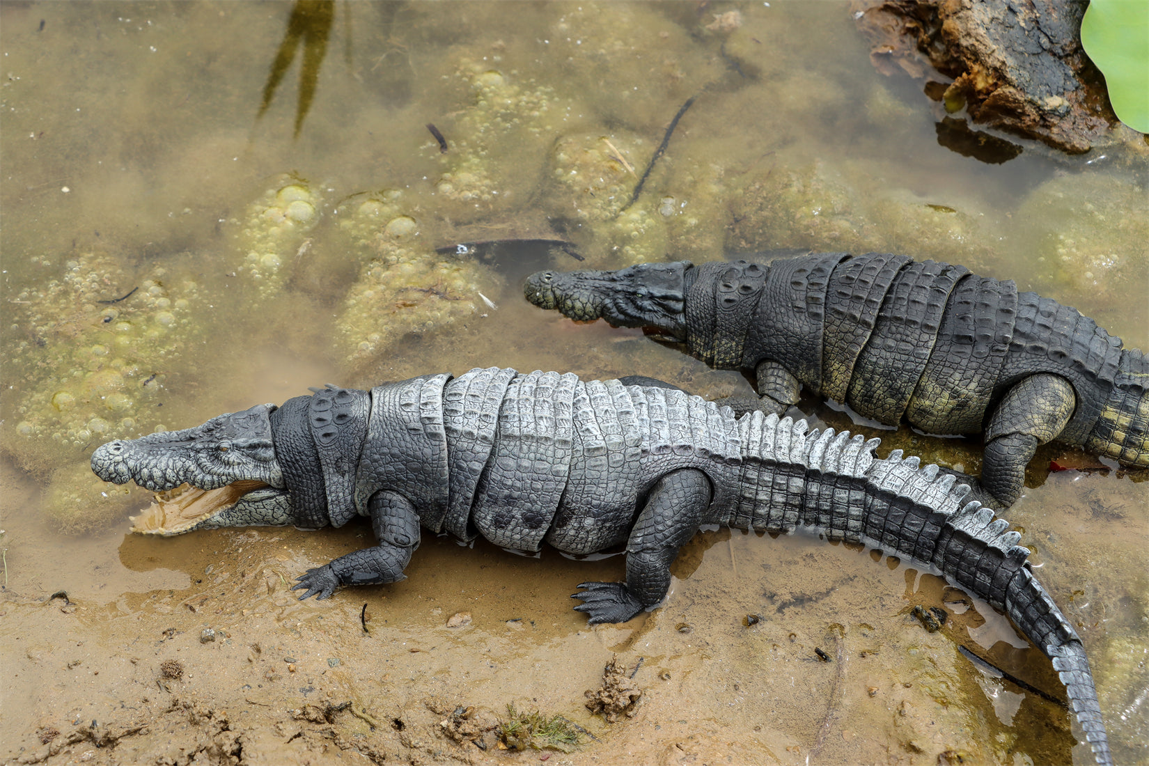 Nanmu Studio Saltwater Crocodile Action Figure