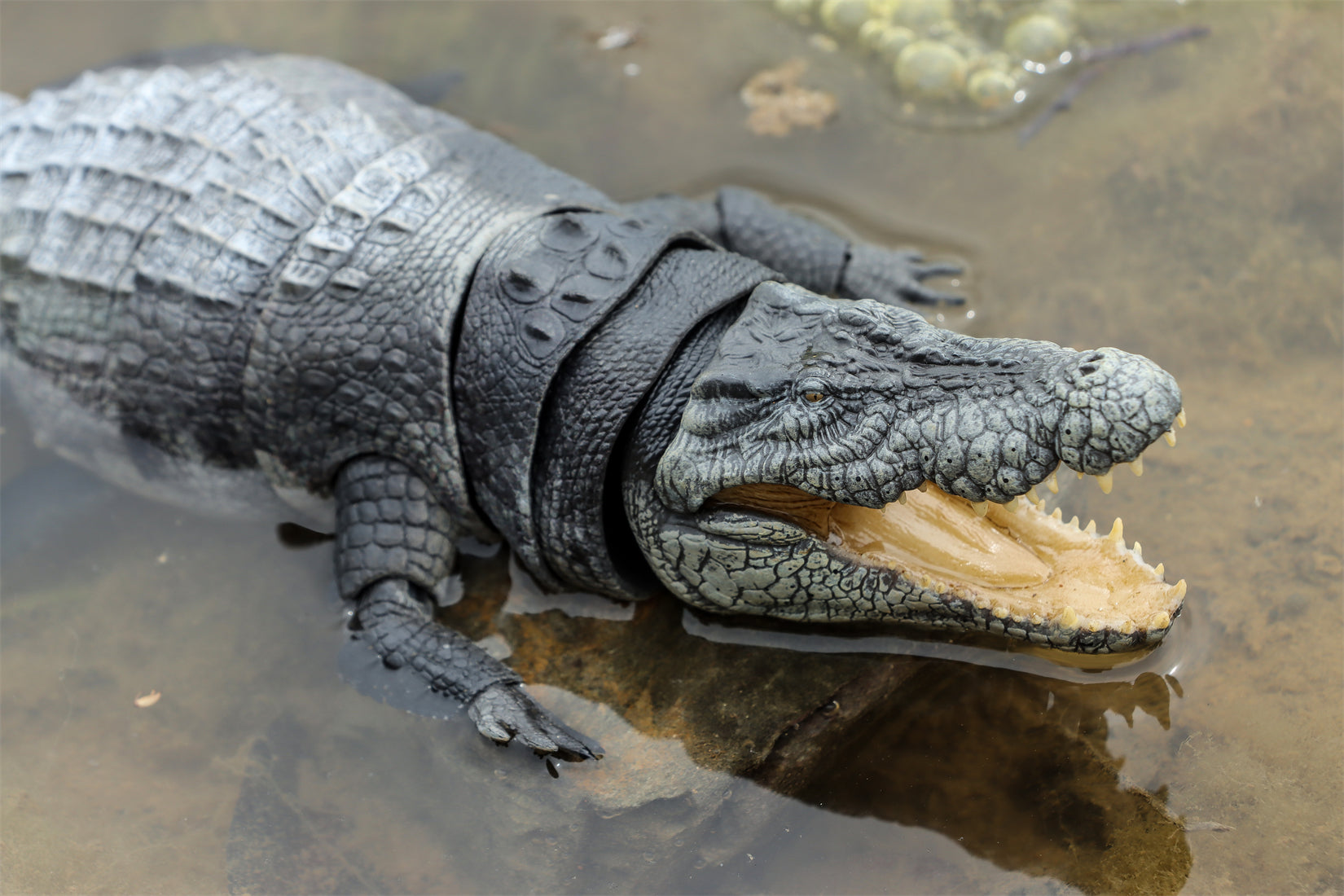 Nanmu Studio Saltwater Crocodile Action Figure