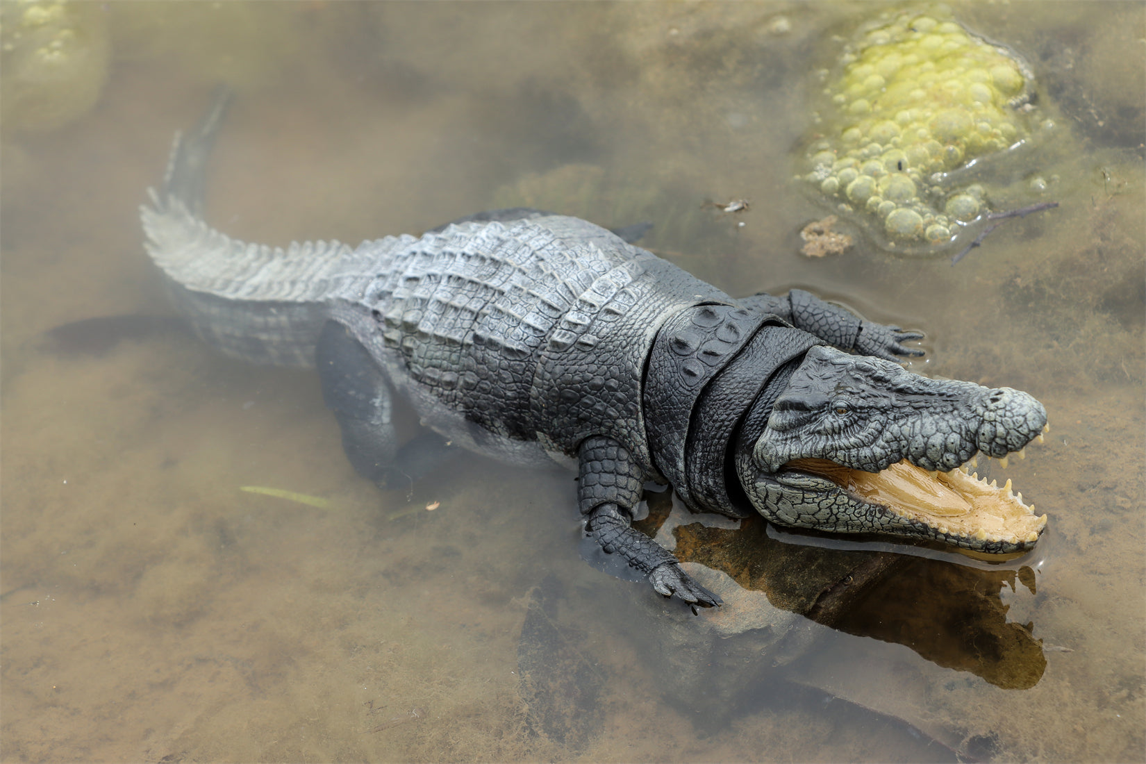 Nanmu Studio Saltwater Crocodile Action Figure