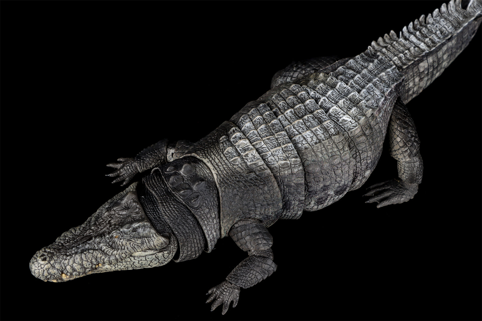 Nanmu Studio Saltwater Crocodile Action Figure