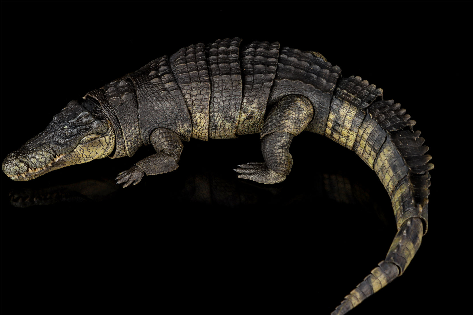 Nanmu Studio Saltwater Crocodile Action Figure