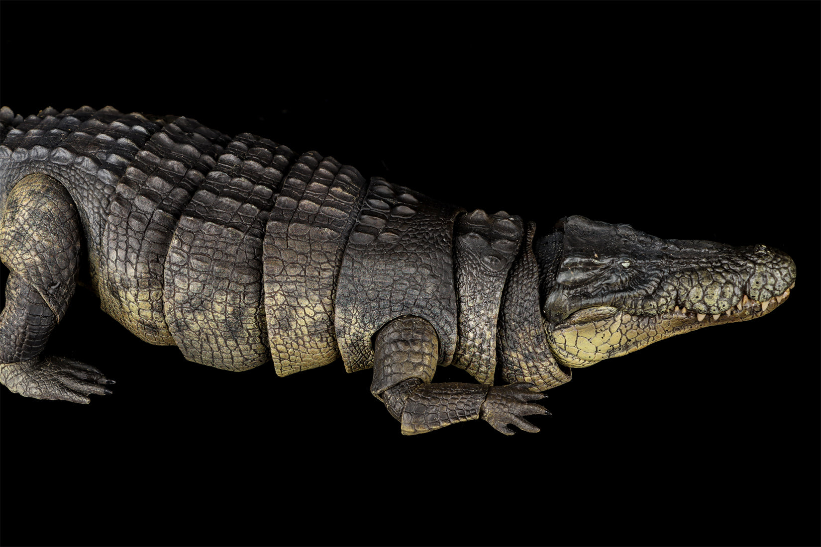 Nanmu Studio Saltwater Crocodile Action Figure