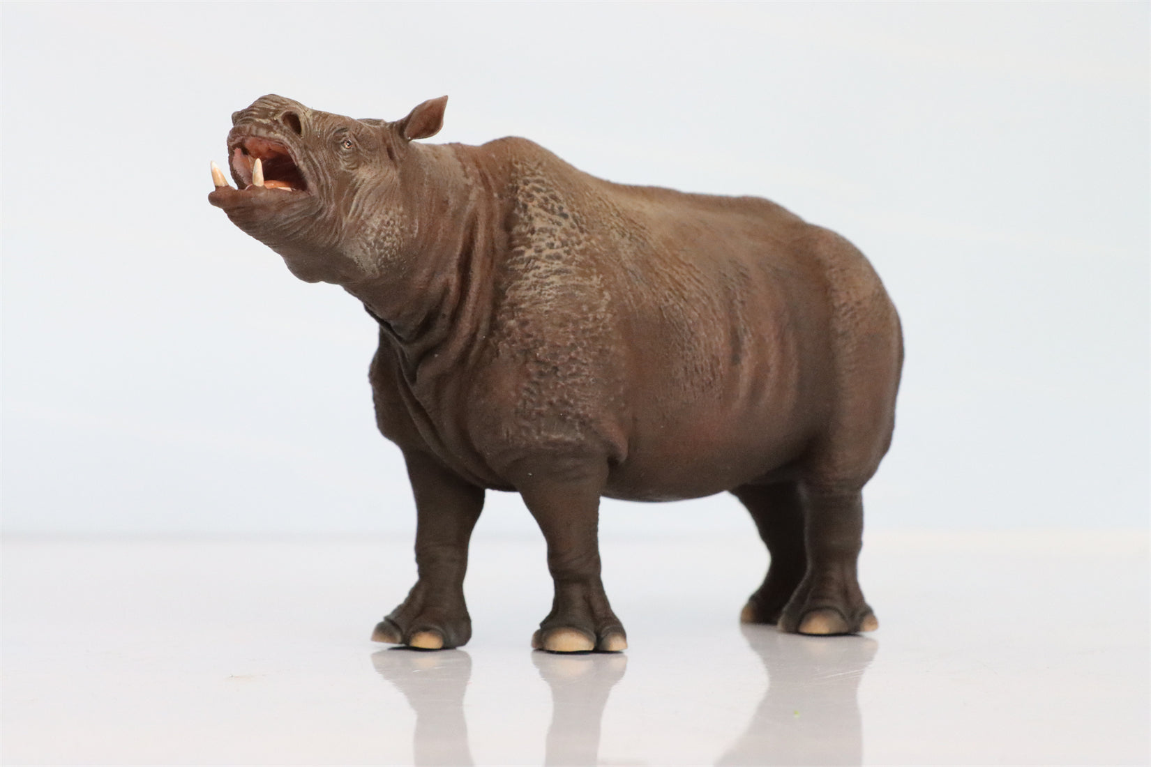 DINONE STUDIO 1/20 Chilotherium Statue