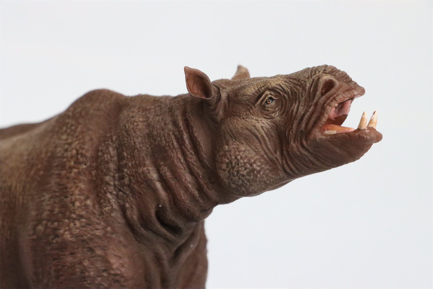 DINONE STUDIO 1/20 Chilotherium Statue