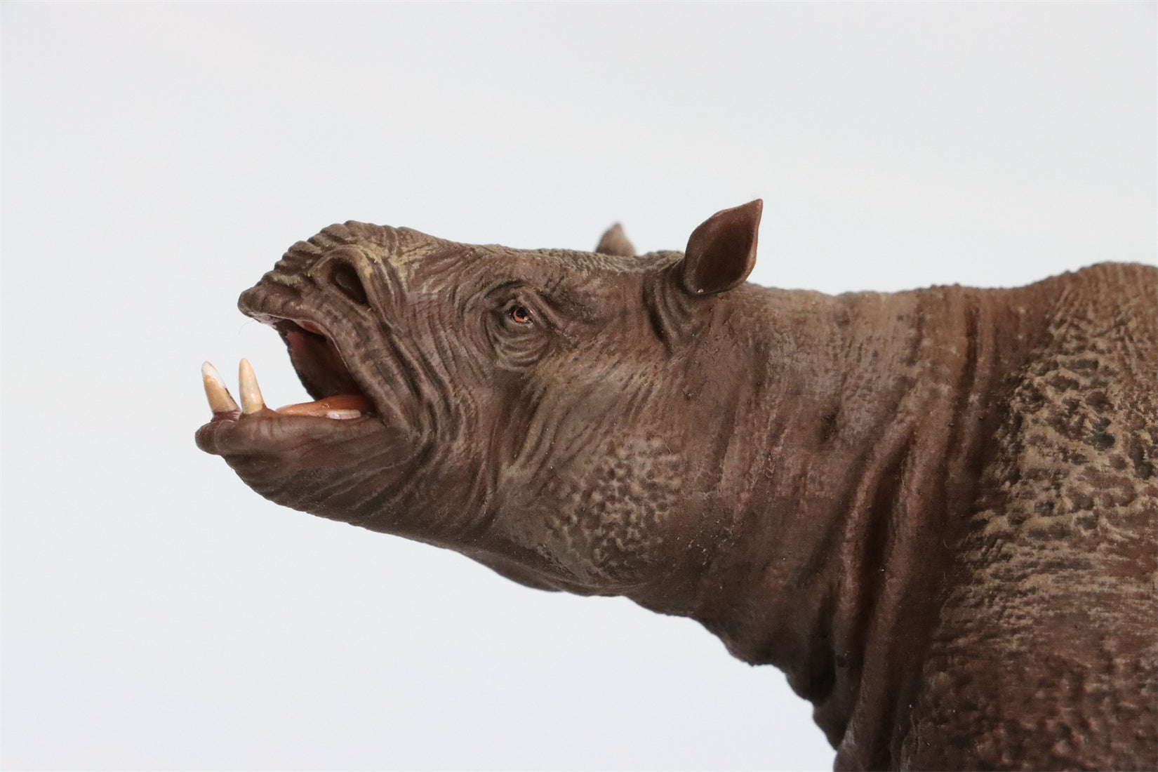 DINONE STUDIO 1/20 Chilotherium Statue