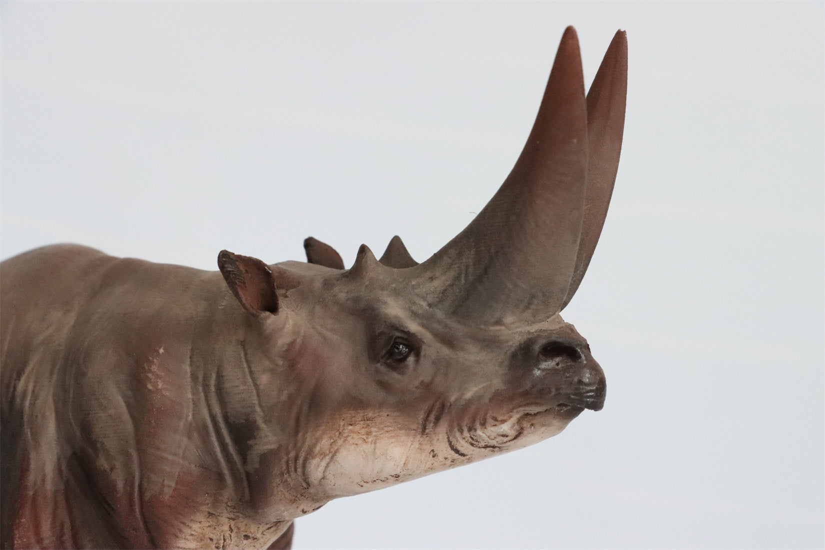 DINONE STUDIO 1/20 Arsinoitherium Statue Palaeoloxodon Model