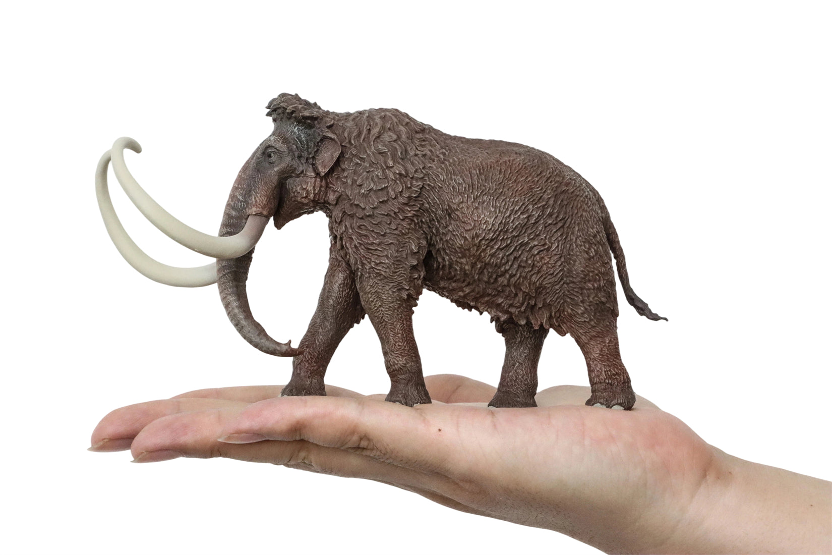 HAOLONGGOOD 1:35 Scale Woolly Mammoth Model