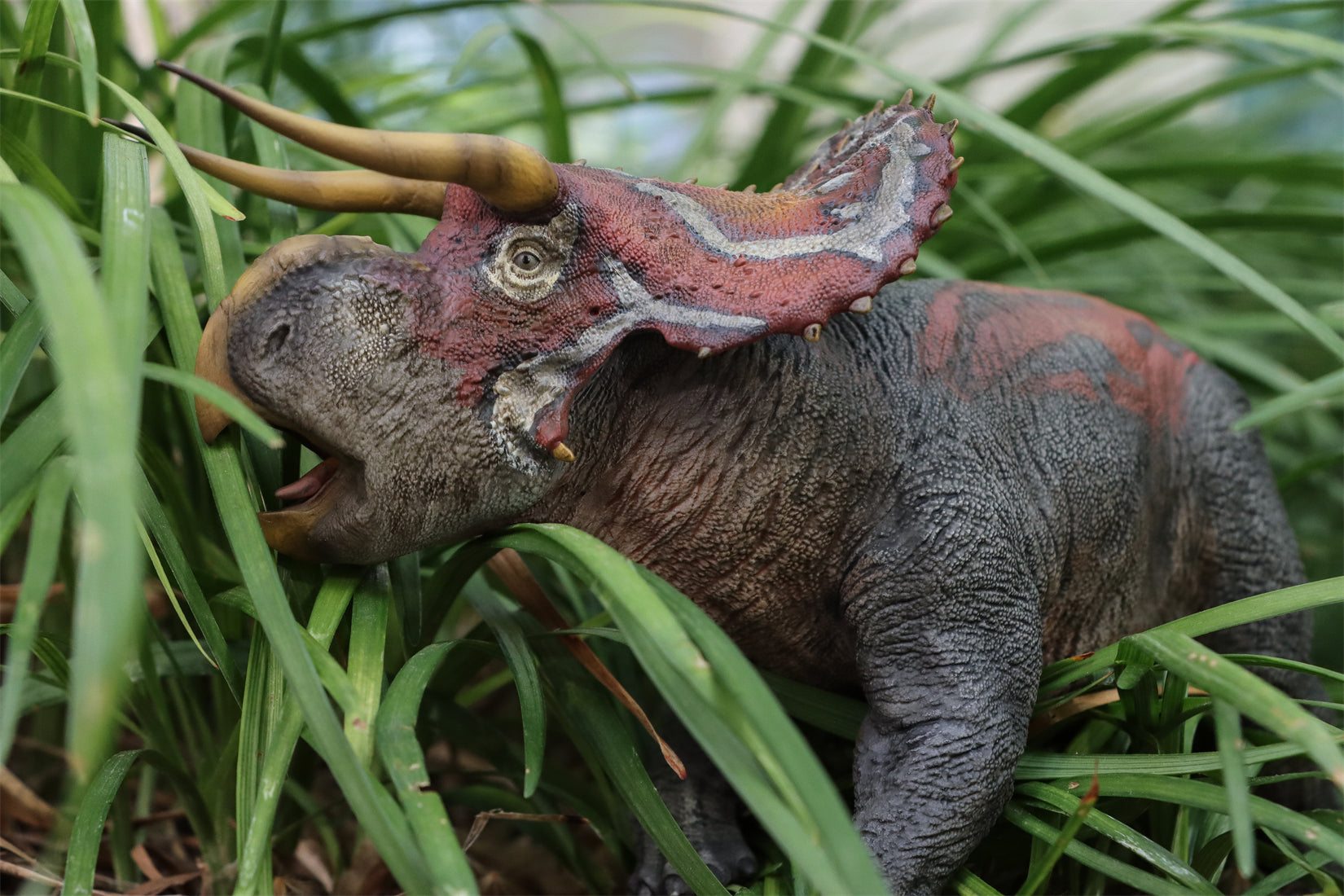 DINO DREAM 1:30 Scale Nasutoceratops Model