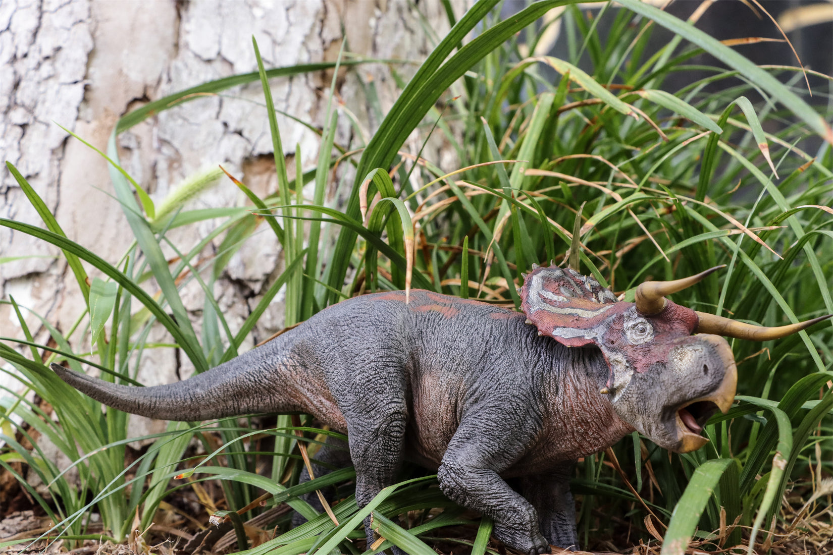 DINO DREAM 1:30 Scale Nasutoceratops Model