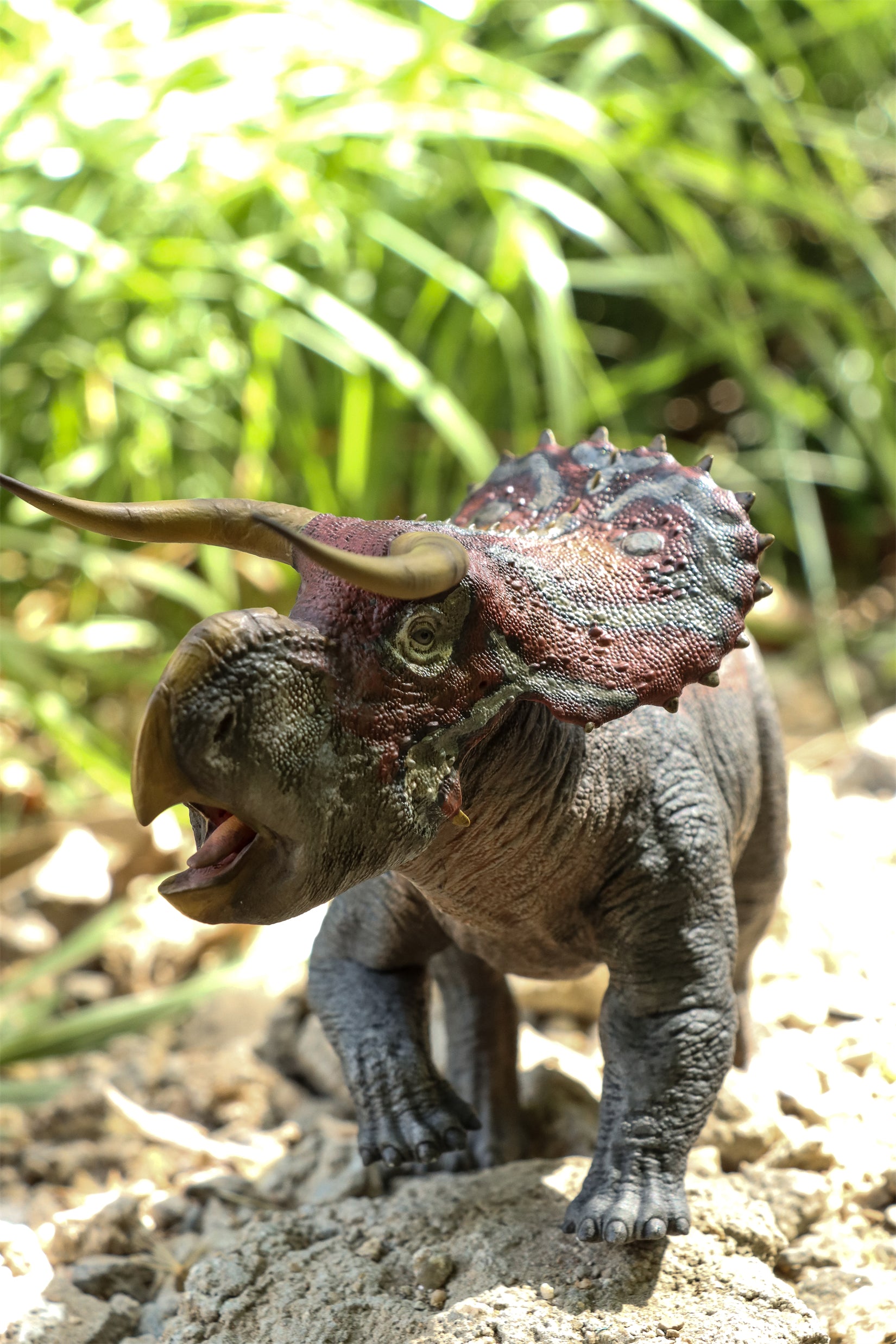 DINO DREAM 1:30 Scale Nasutoceratops Model