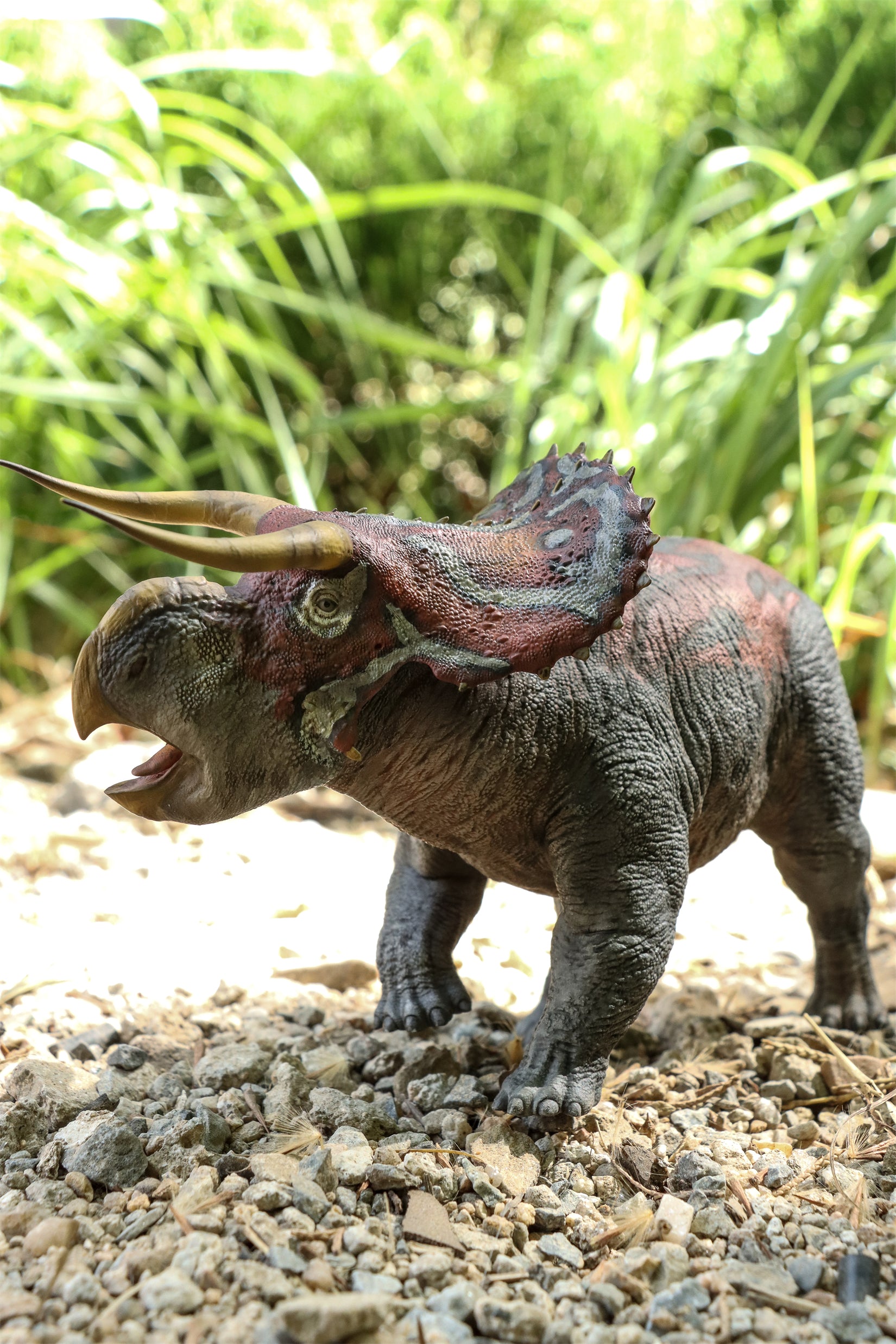 DINO DREAM 1:30 Scale Nasutoceratops Model