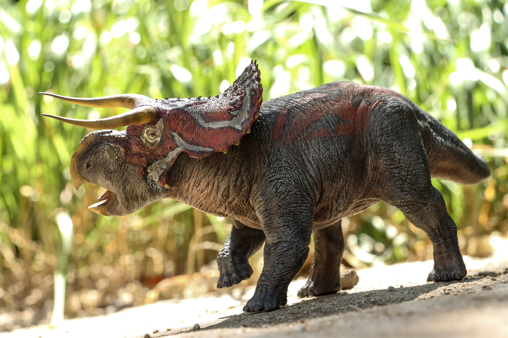 DINO DREAM 1:30 Scale Nasutoceratops Model