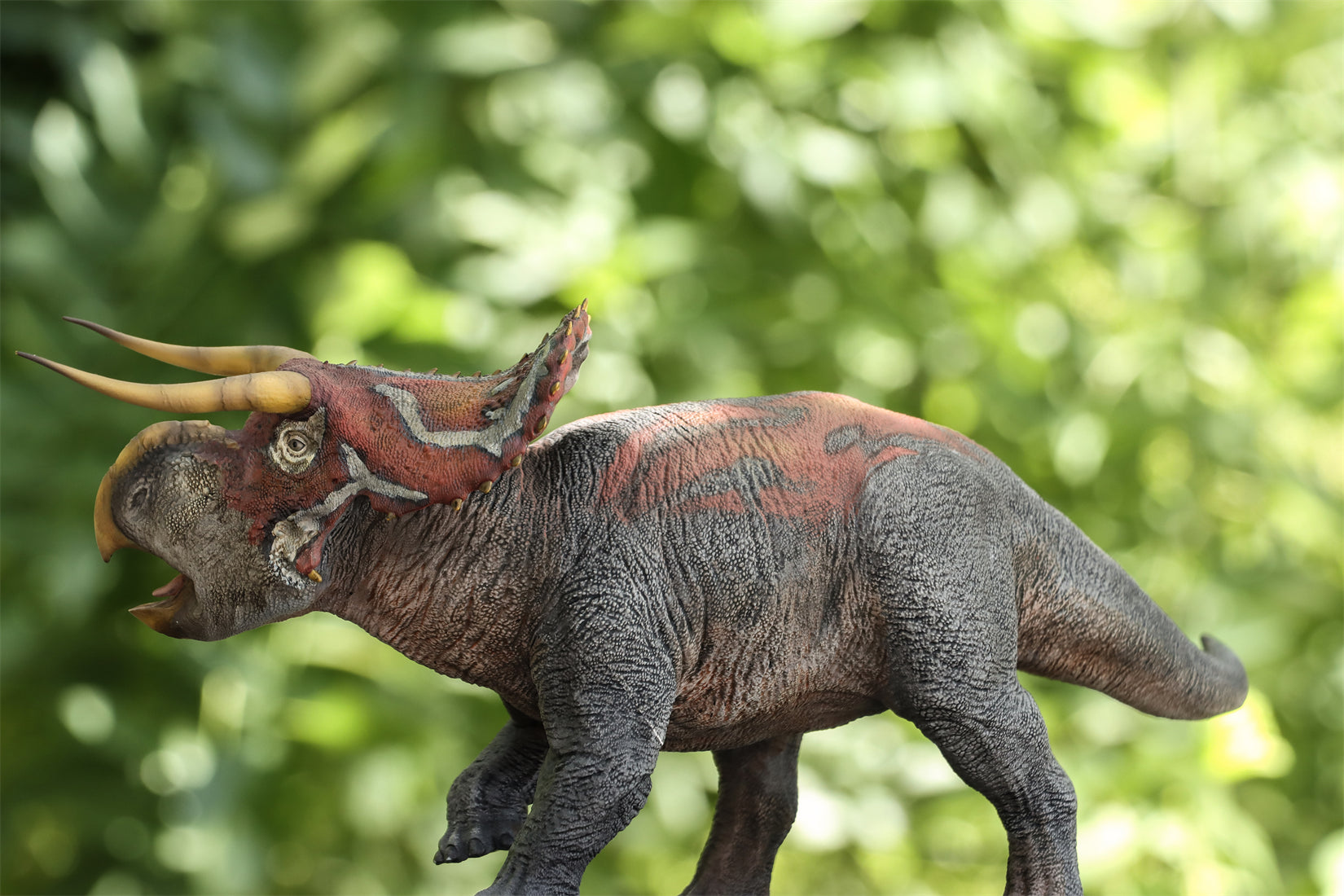 DINO DREAM 1:30 Scale Nasutoceratops Model