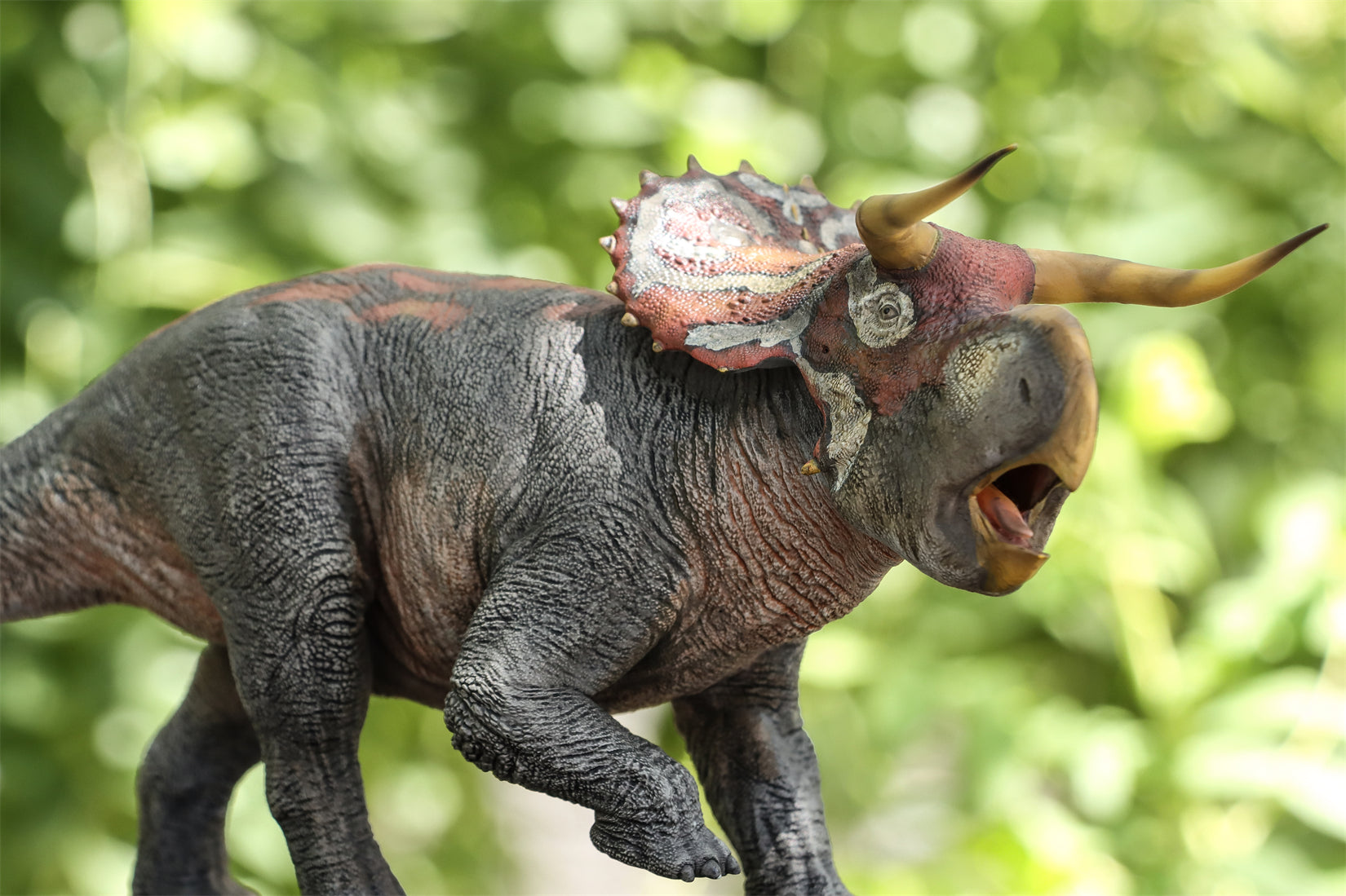 DINO DREAM 1:30 Scale Nasutoceratops Model