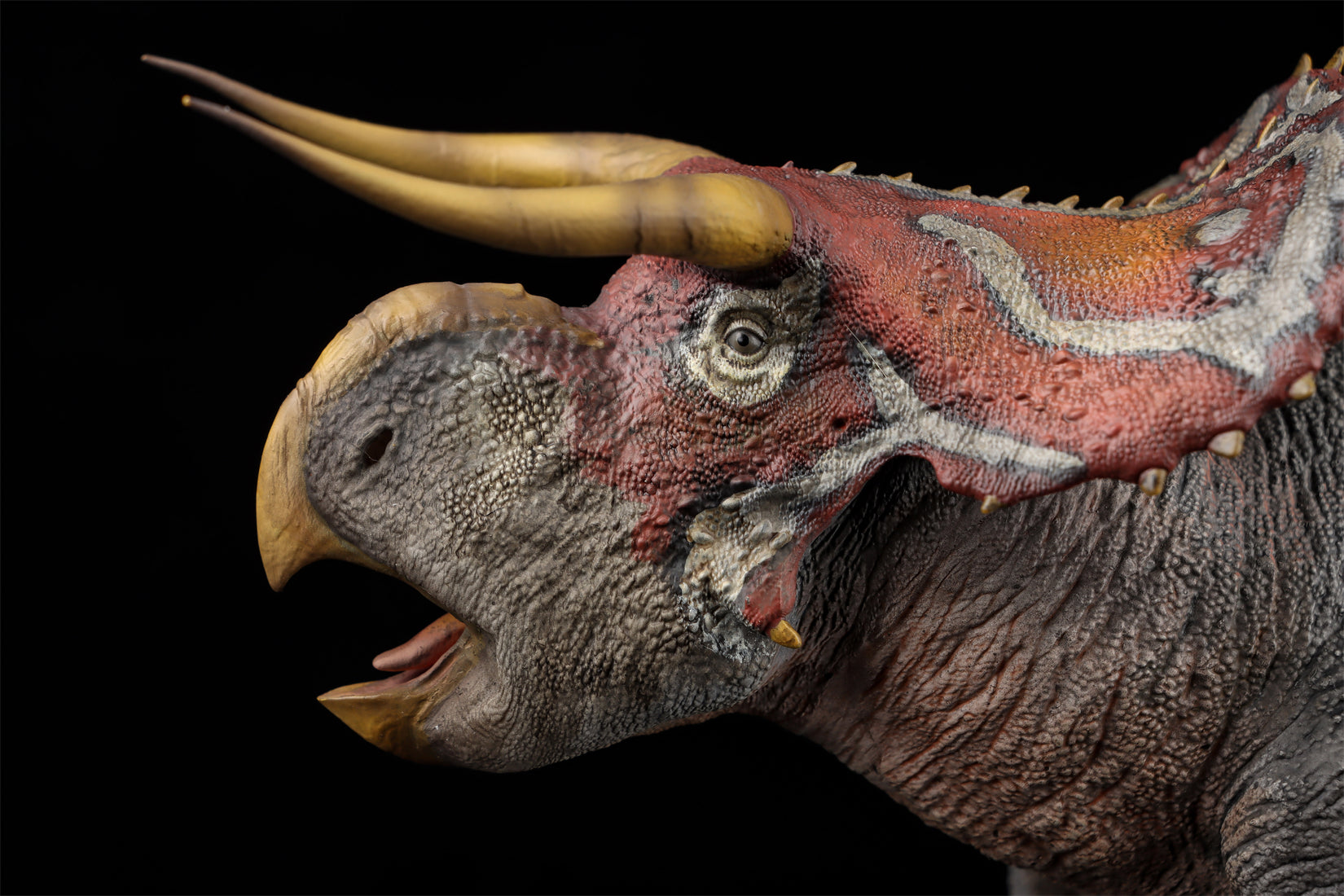 DINO DREAM 1:30 Scale Nasutoceratops Model