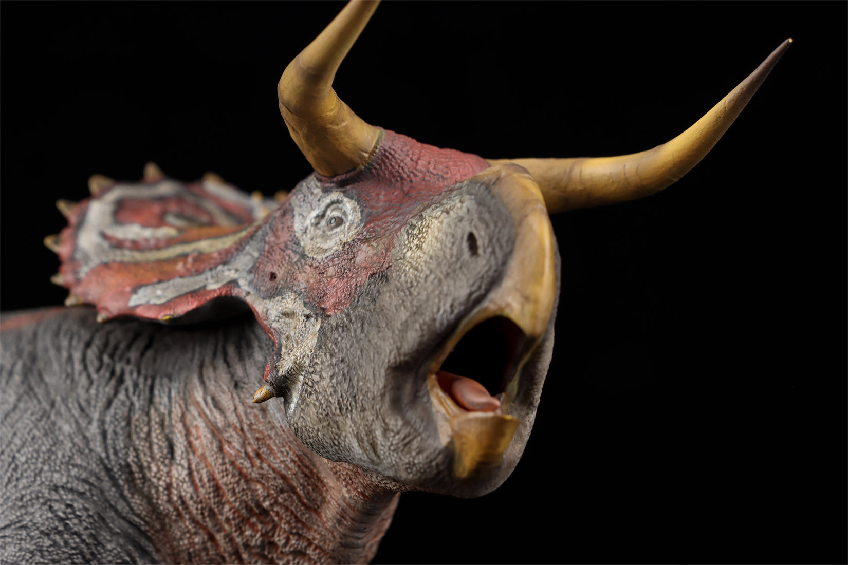 DINO DREAM 1:30 Scale Nasutoceratops Model