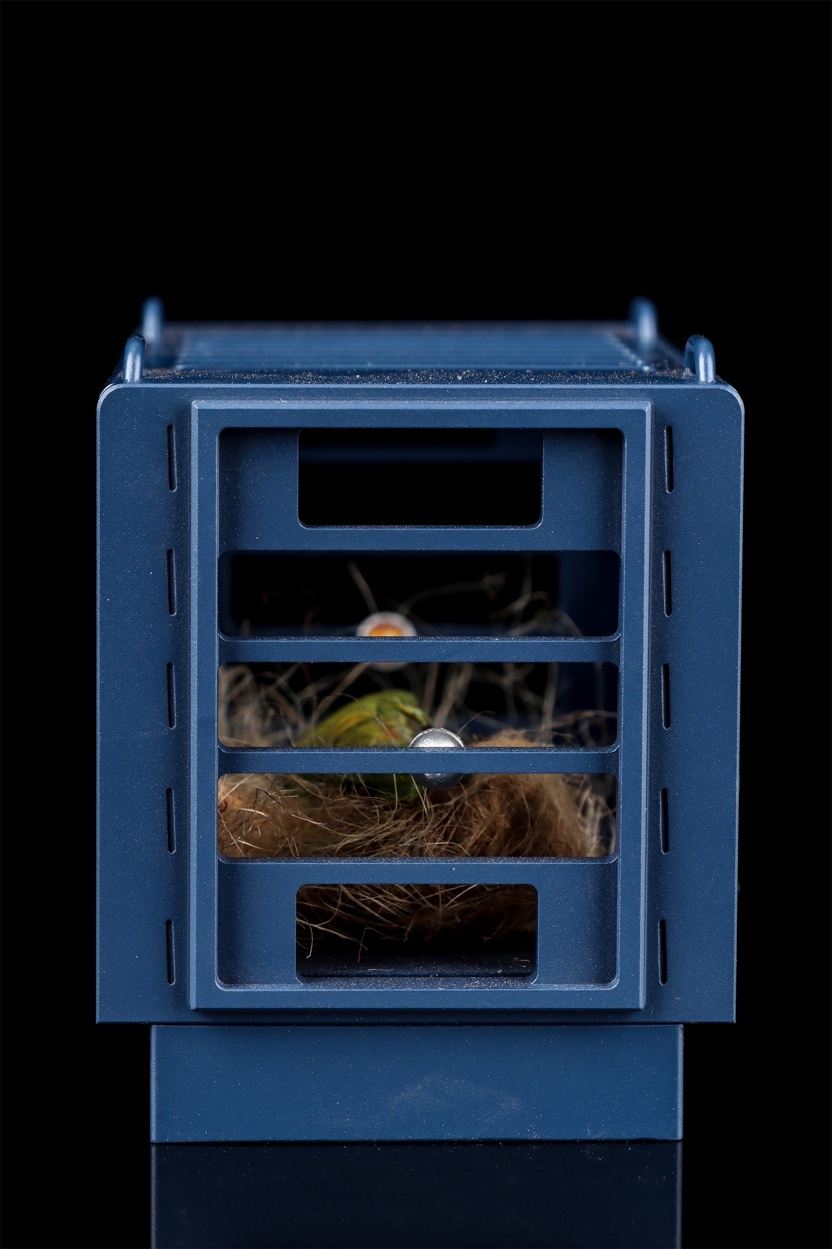 DINO DREAM 1/30 Scale Baby Trex Cage Model