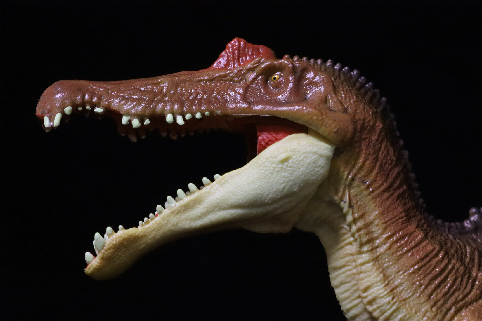 RECUR 1:42 Scale Spinosaurus Stromer Model