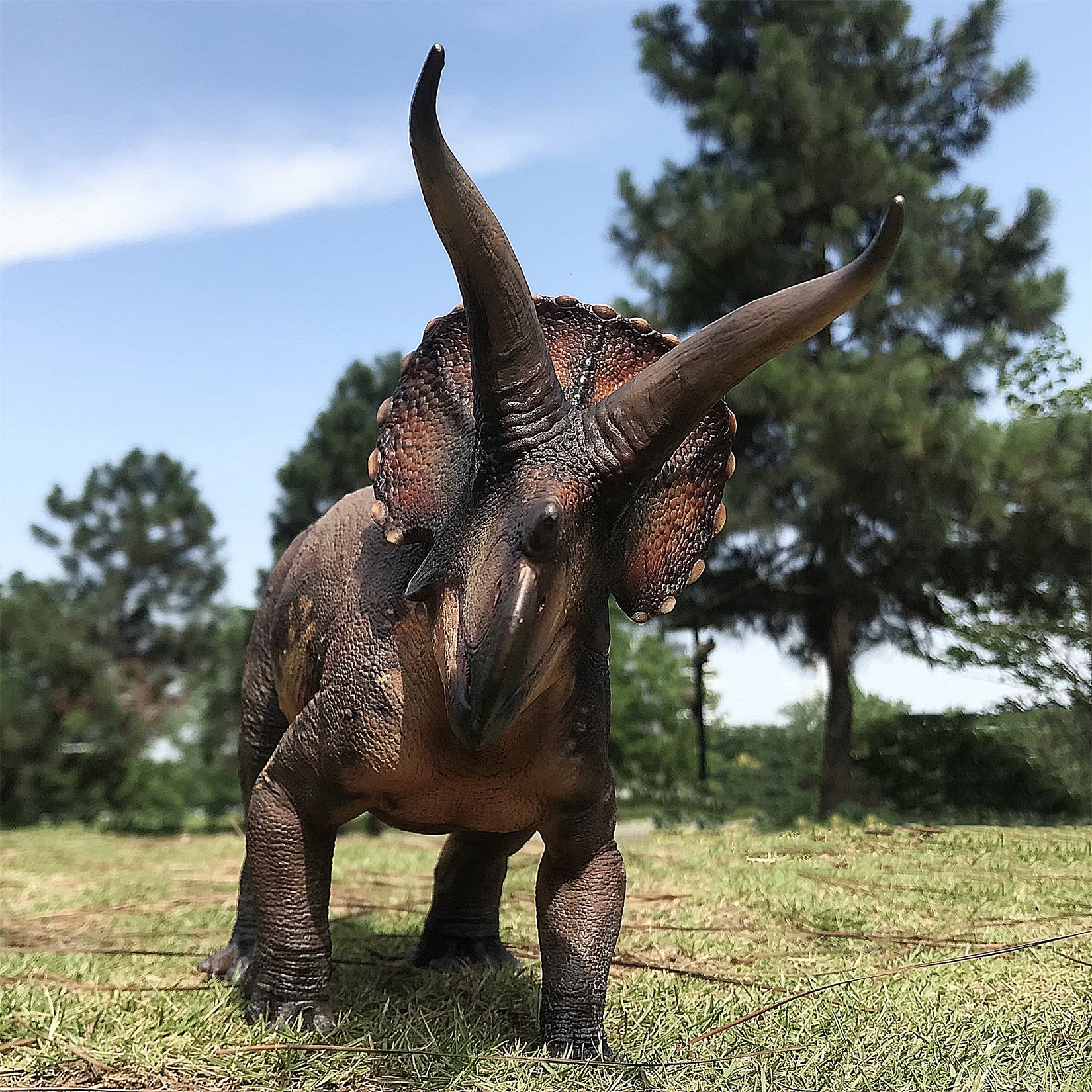 De CLAY Studio Triceratops prorsus Scene Statue Kit