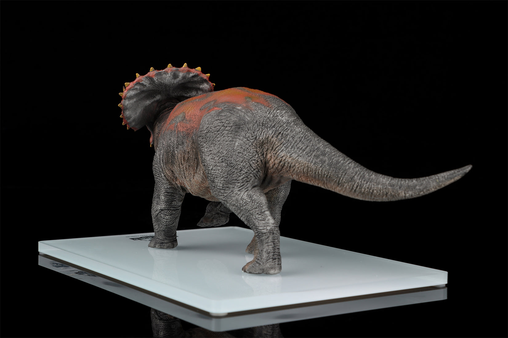 DINO DREAM 1:30 Scale Nasutoceratops Model