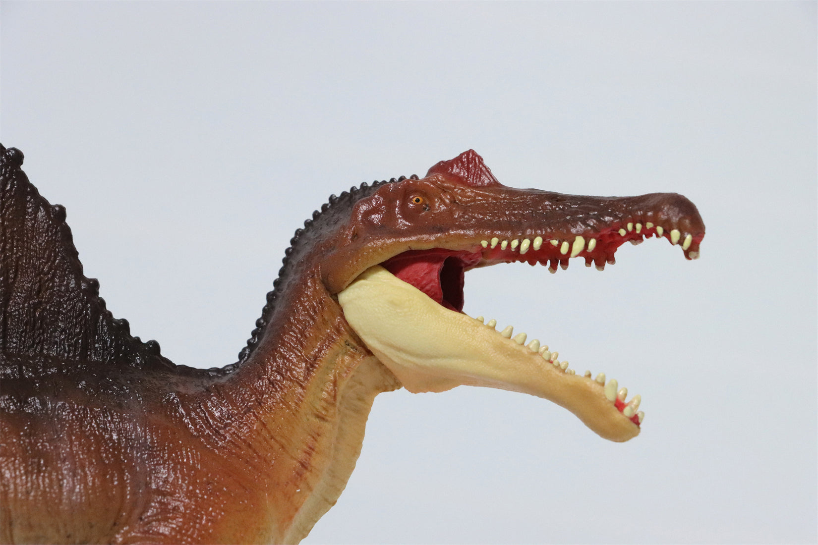 RECUR 1:42 Scale Spinosaurus Stromer Model
