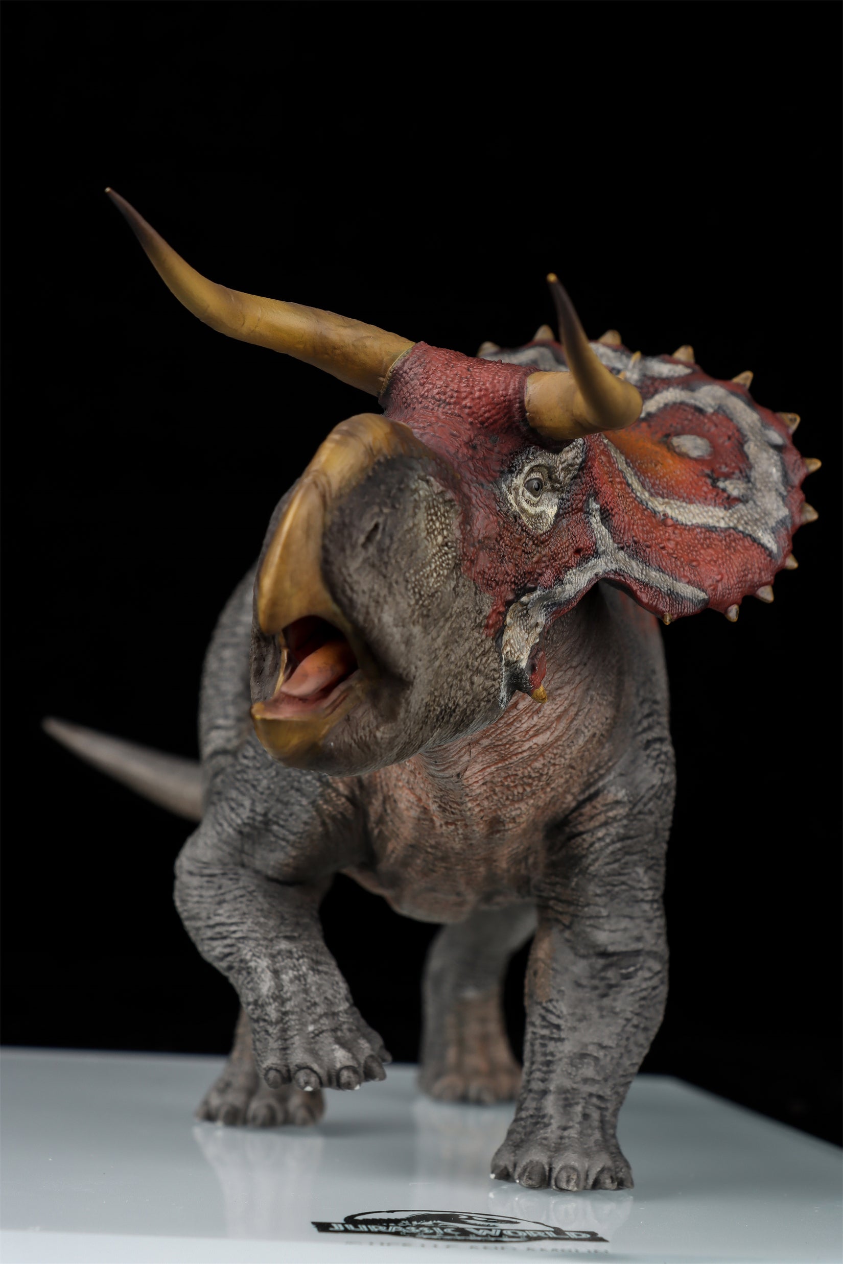 DINO DREAM 1:30 Scale Nasutoceratops Model