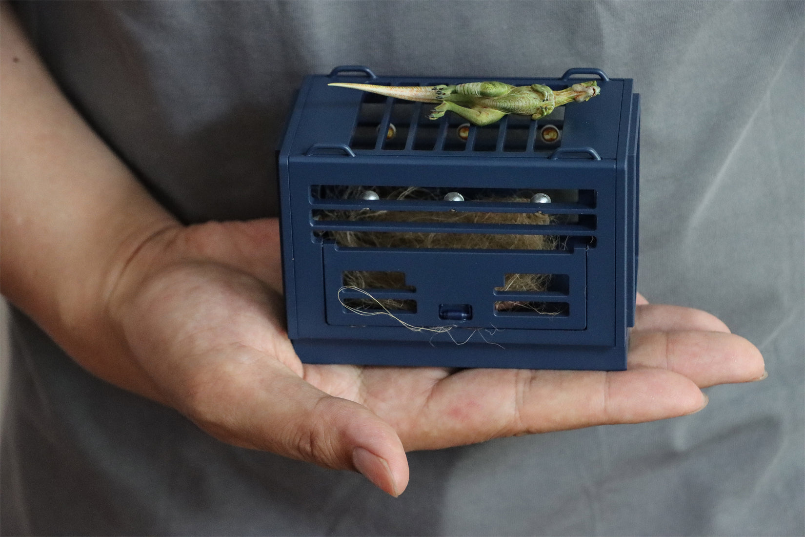 DINO DREAM 1/30 Scale Baby Trex Cage Model