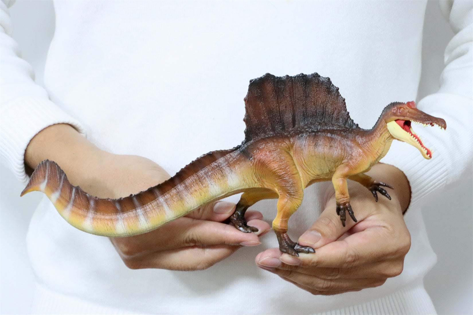 RECUR 1:42 Scale Spinosaurus Stromer Model