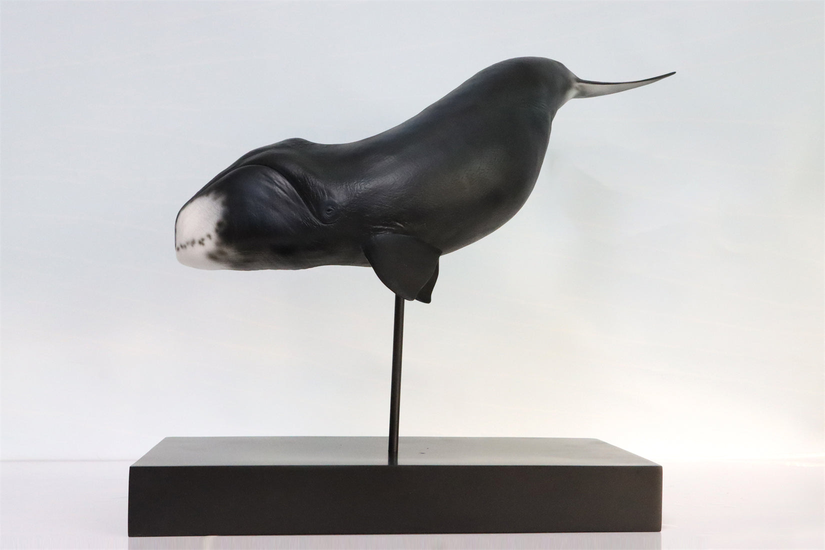 Sumeru Studio 1/35 Bowhead Whale Model