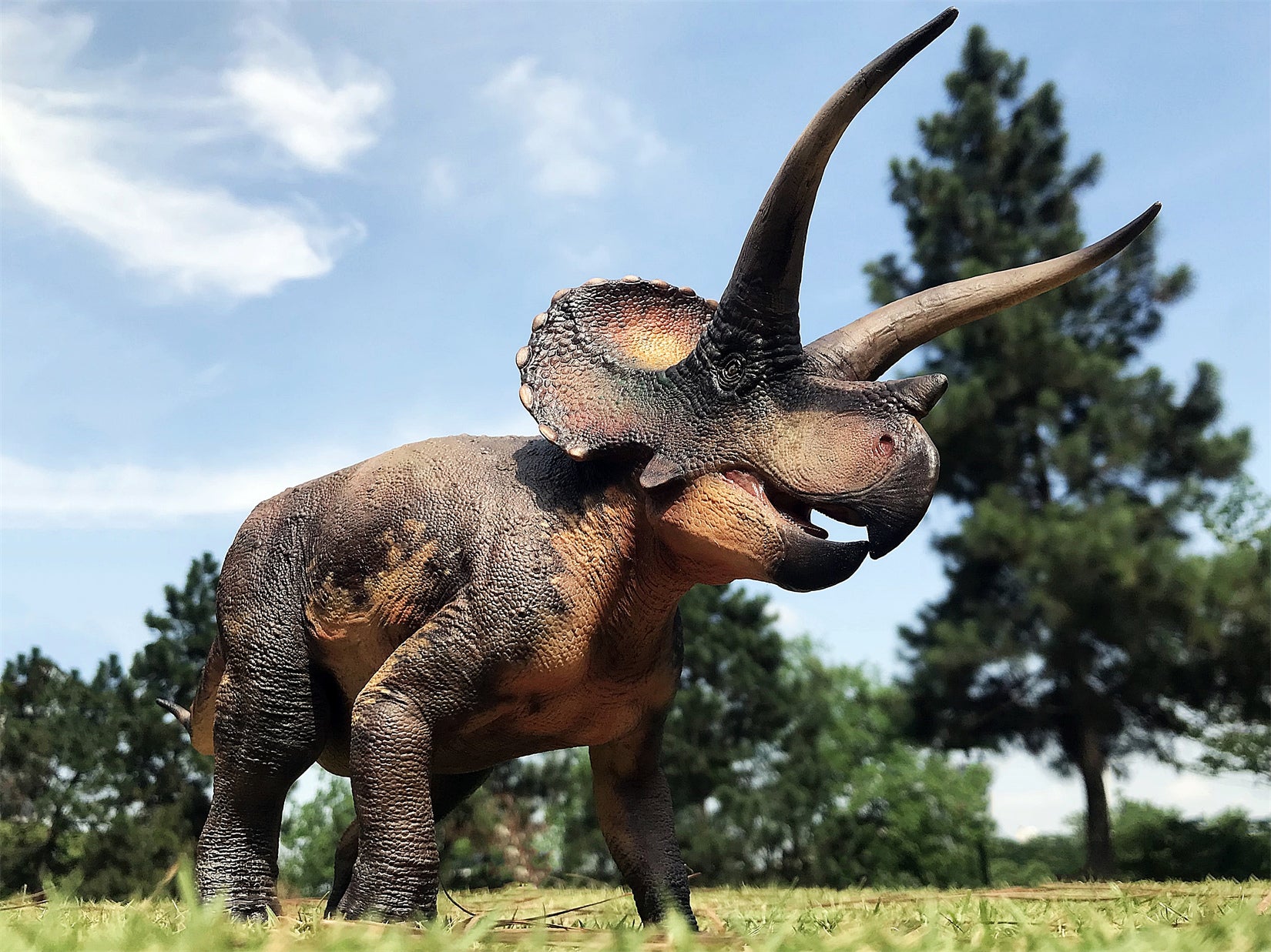 De CLAY Studio Triceratops prorsus Scene Statue Kit