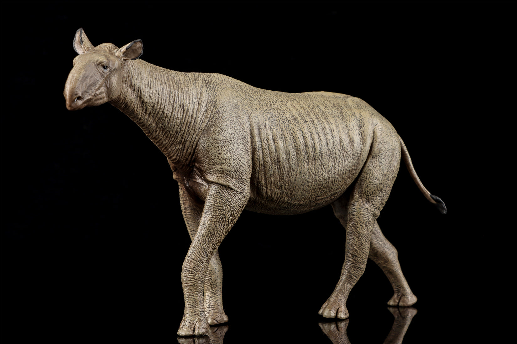 Eofauna 1:35 Scale Paraceratherium grangeri Figure
