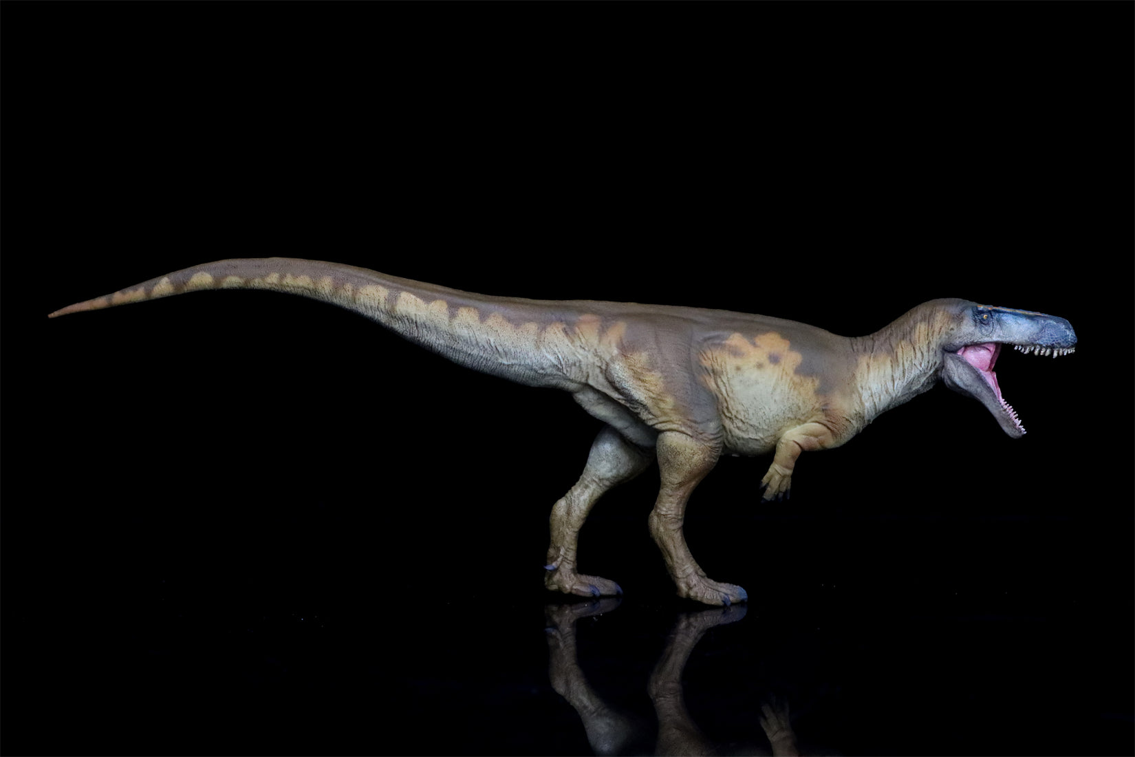 PNSO Megalosaurus Edward Model