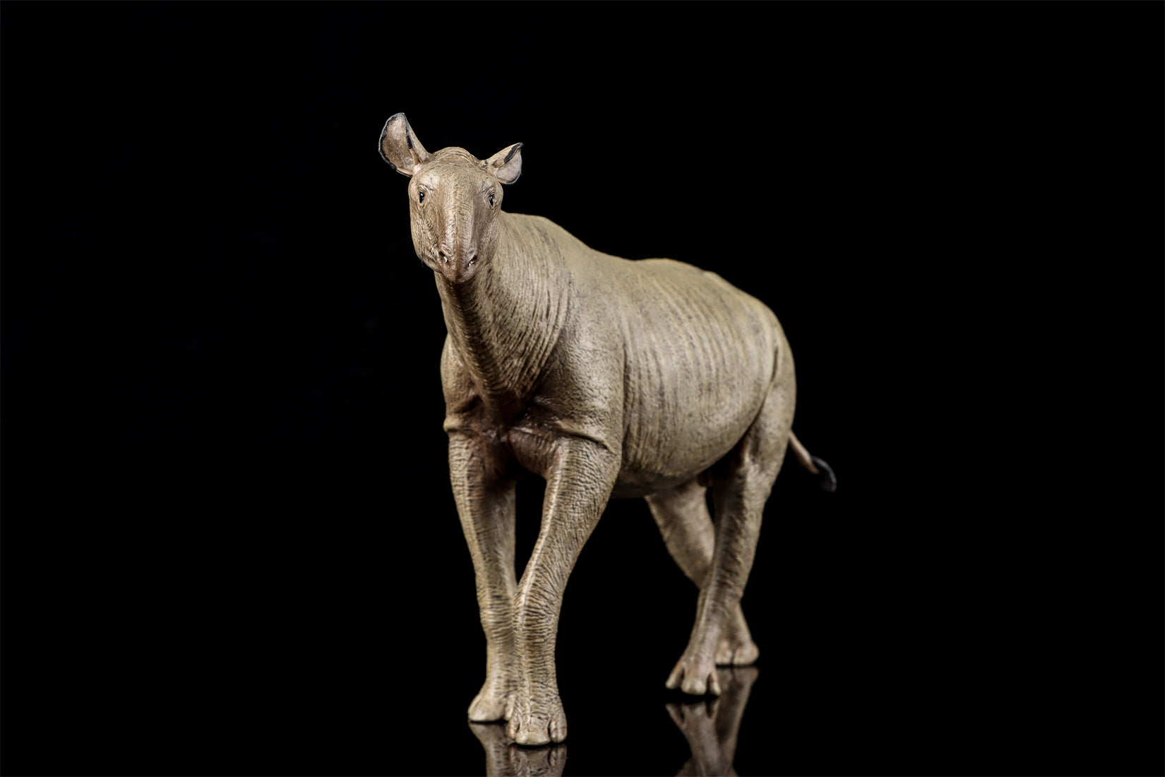 Eofauna 1:35 Scale Paraceratherium grangeri Figure