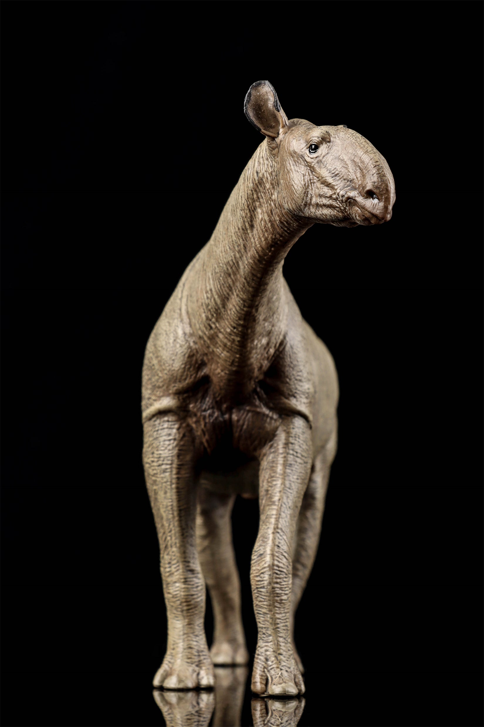 Eofauna 1:35 Scale Paraceratherium grangeri Figure