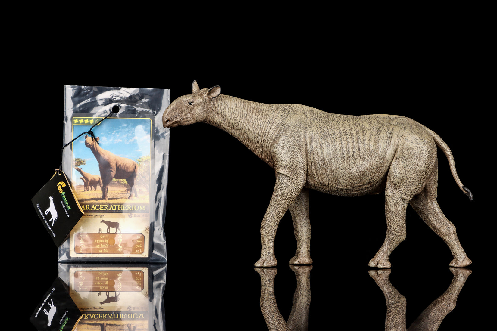Eofauna 1:35 Scale Paraceratherium grangeri Figure