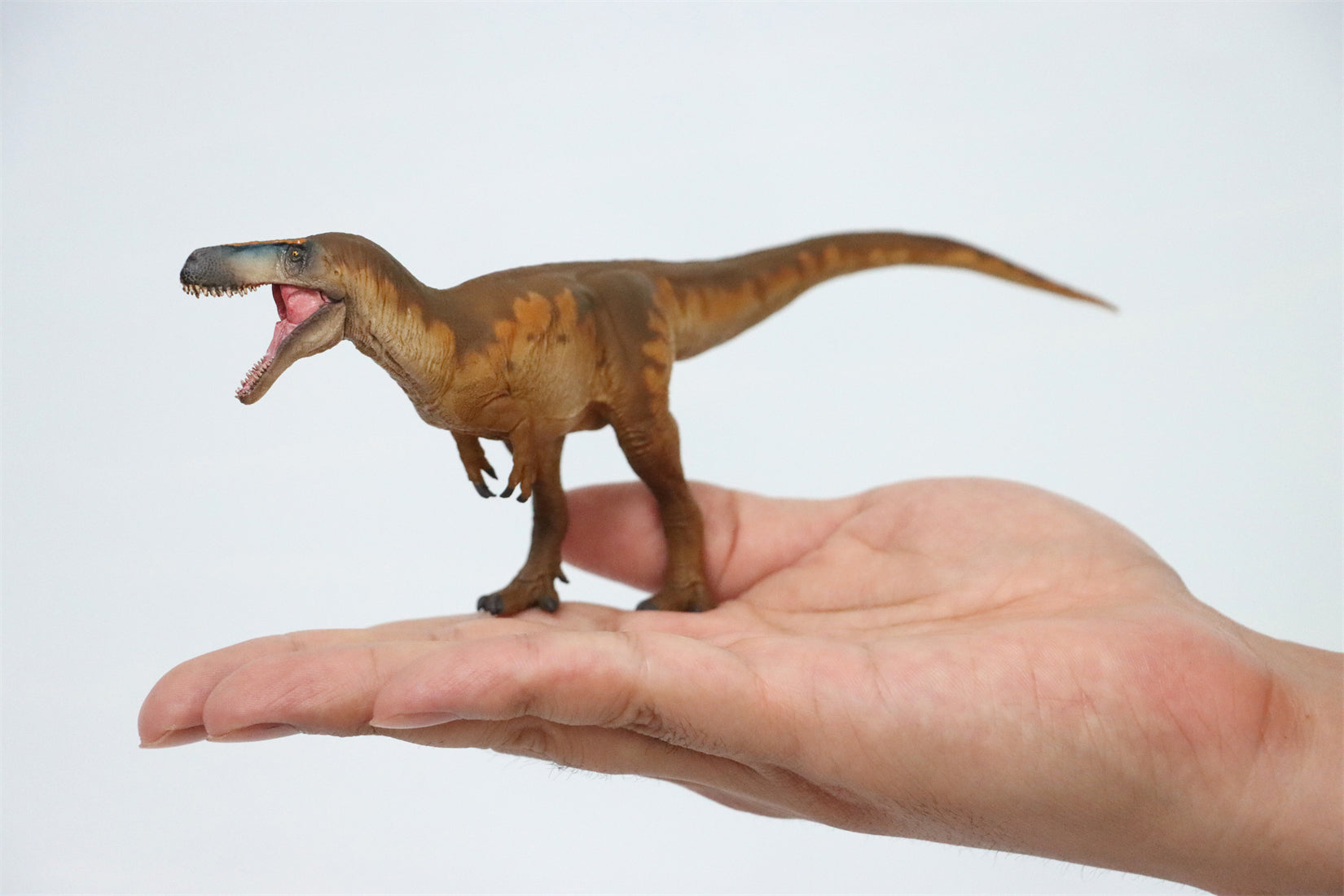 PNSO Megalosaurus Edward Model