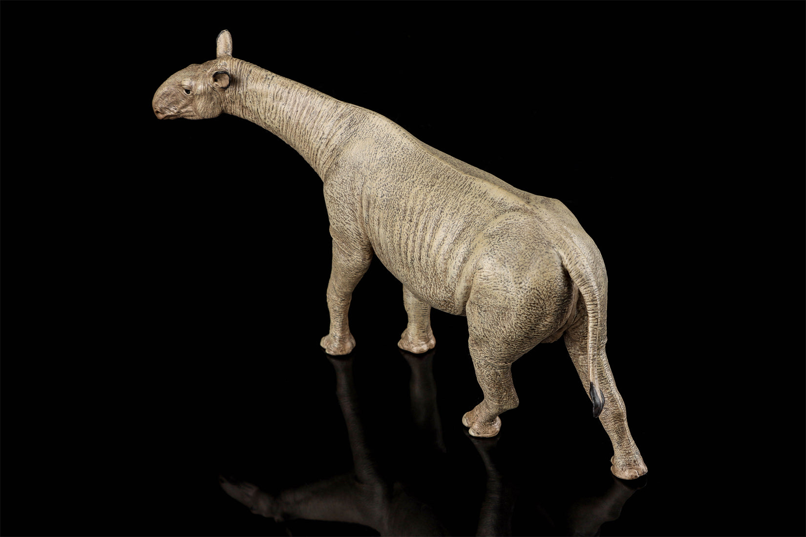 Eofauna 1:35 Scale Paraceratherium grangeri Figure