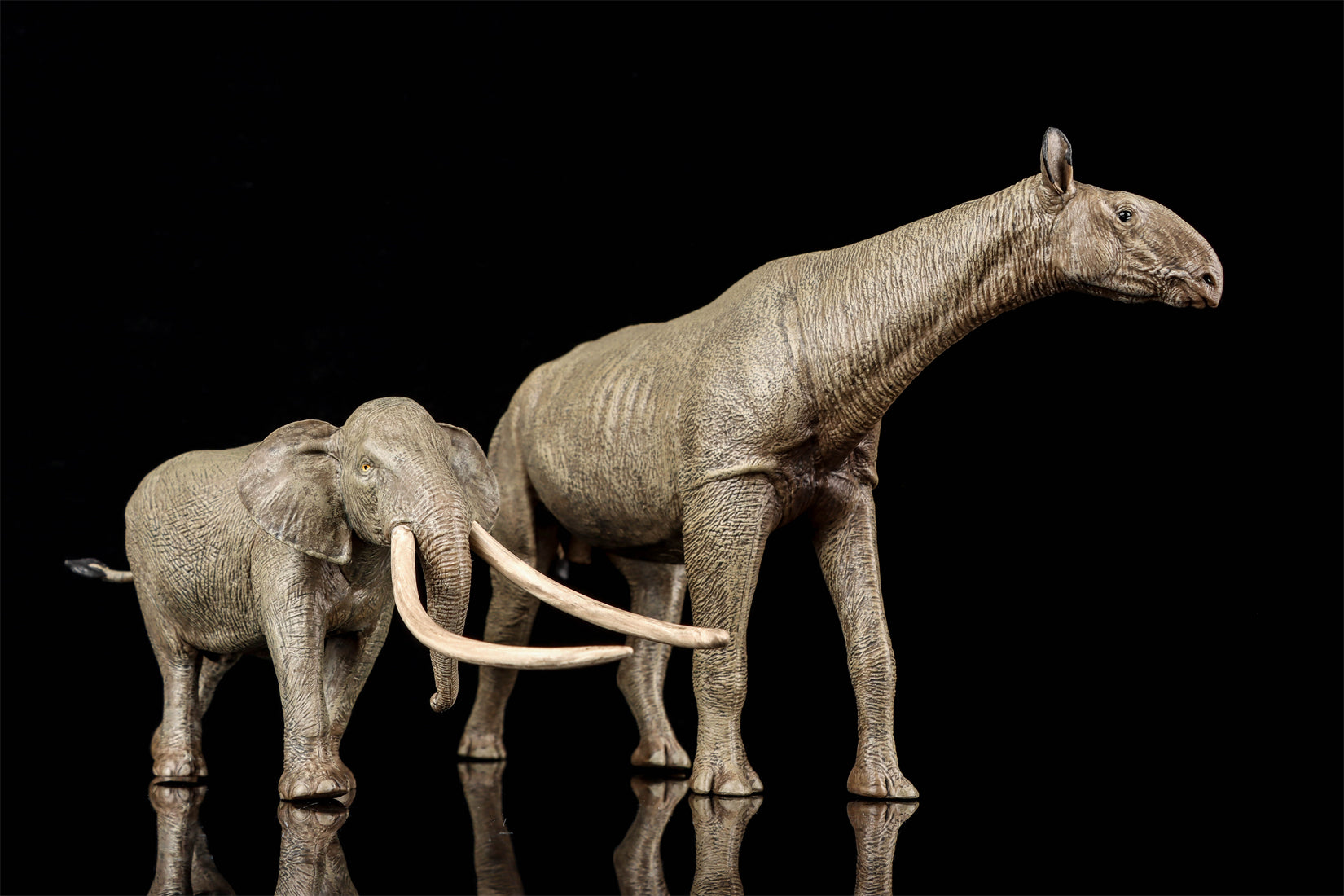Eofauna 1:35 Scale Paraceratherium grangeri Figure