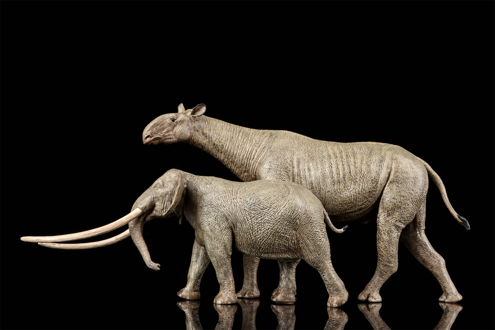 Eofauna 1:35 Scale Paraceratherium grangeri Figure