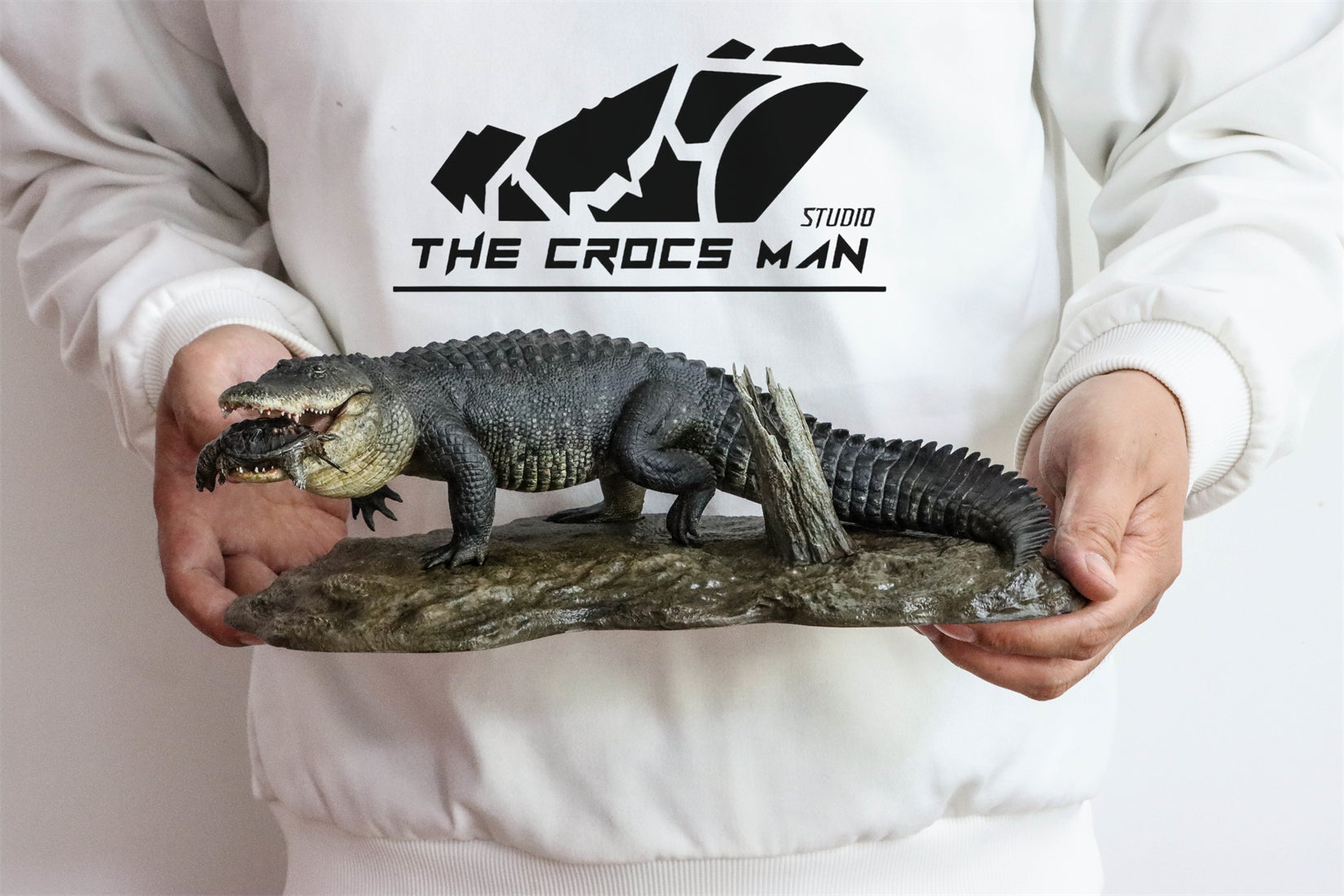 The Crocs Man Studio American Alligator Model