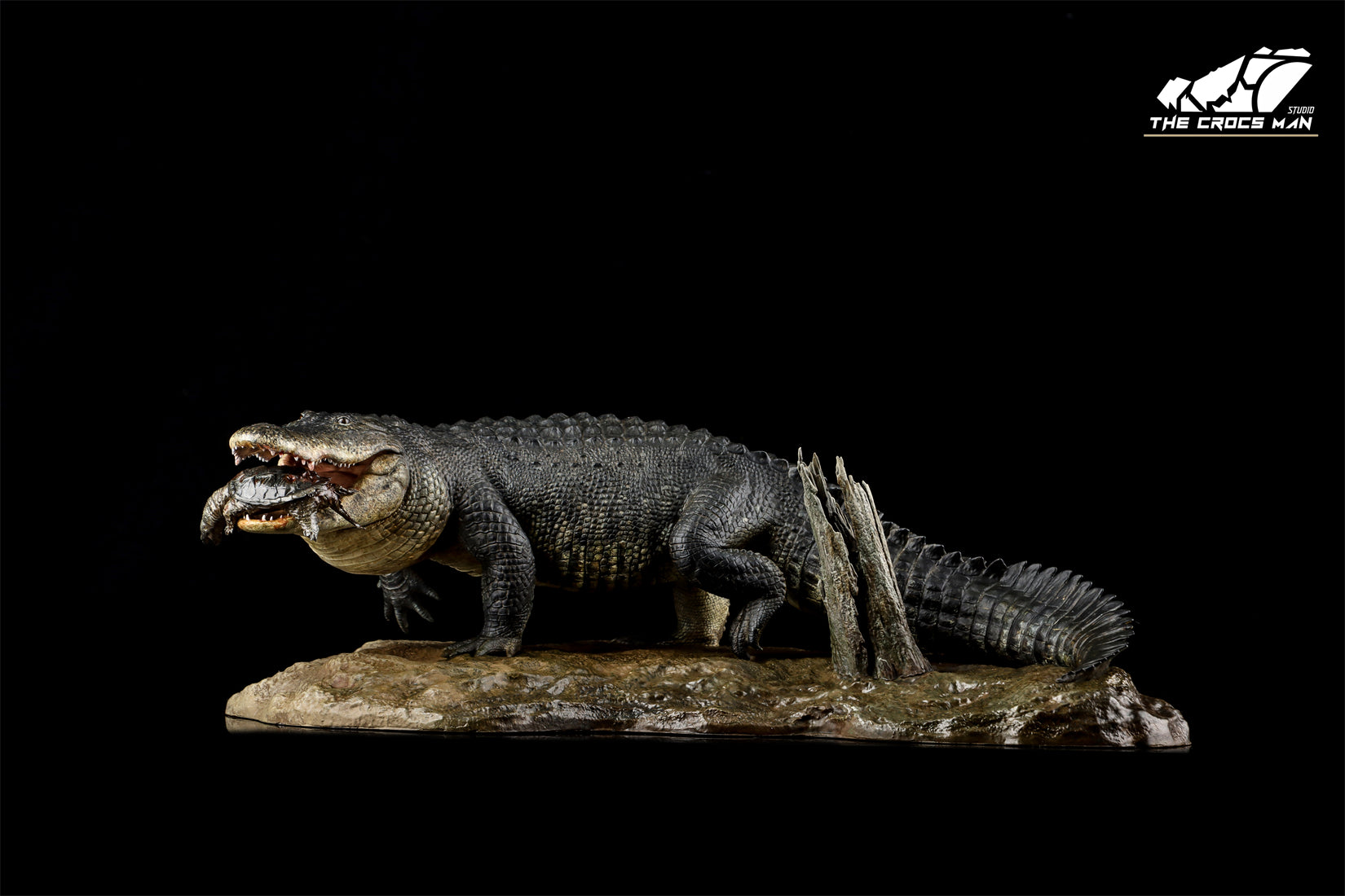 The Crocs Man Studio American Alligator Model
