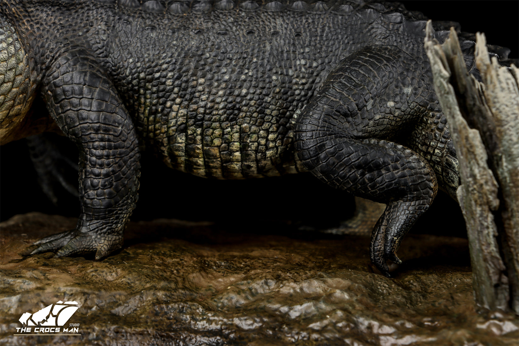 The Crocs Man Studio American Alligator Model